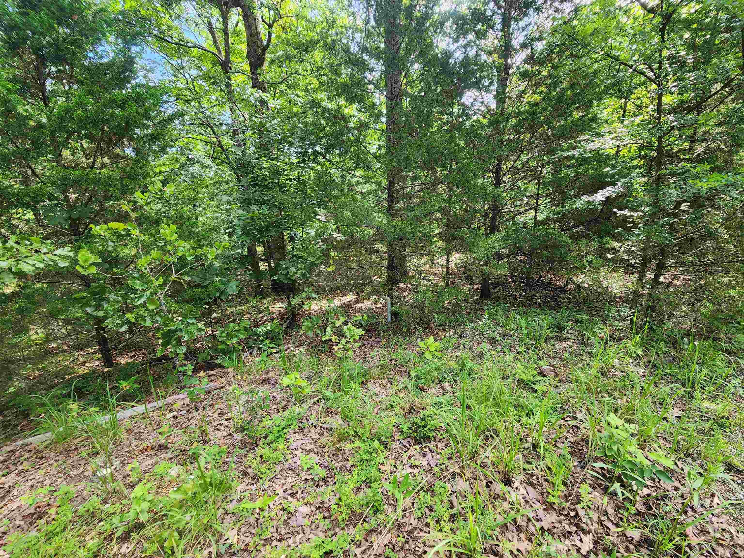 Photo 7 - Vacant Land for sale – L21B1  Coyotero   Cherokee Village, AR