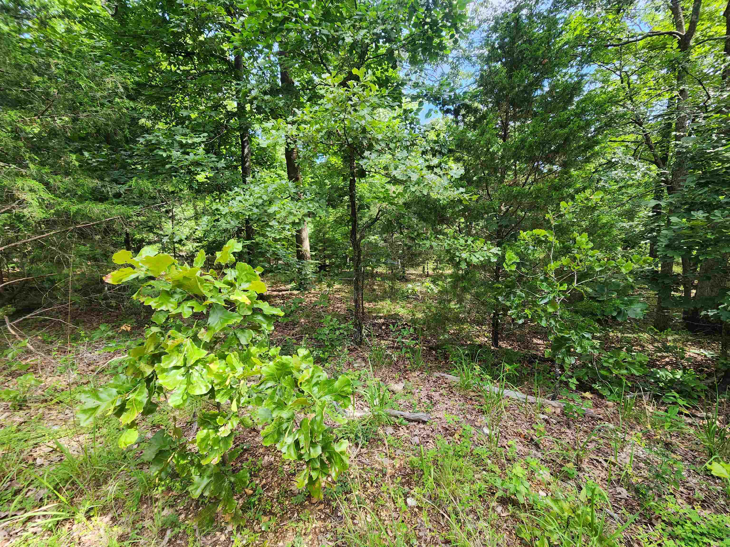 Photo 8 - Vacant Land for sale – L21B1  Coyotero   Cherokee Village, AR