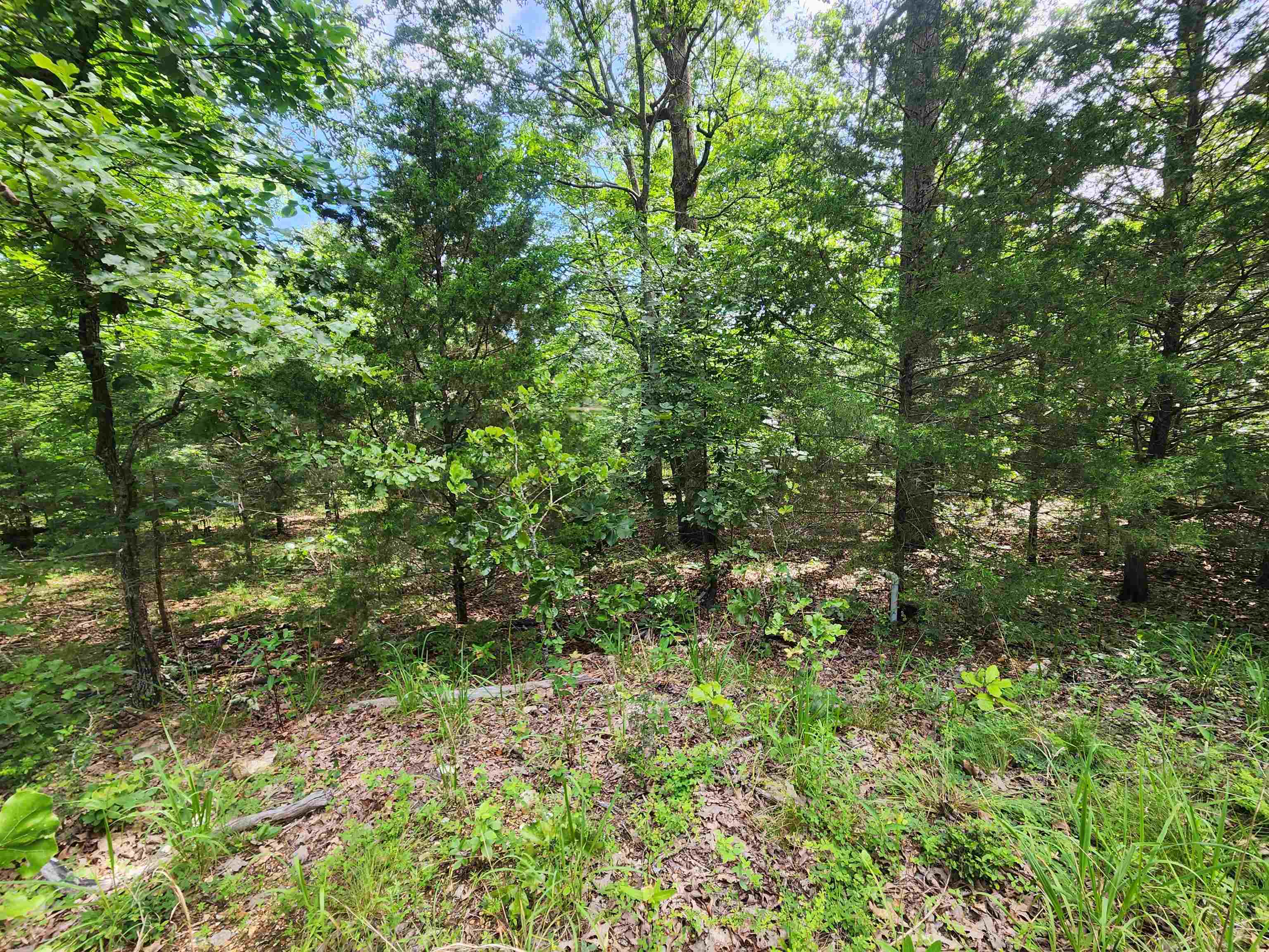 Photo 9 - Vacant Land for sale – L21B1  Coyotero   Cherokee Village, AR