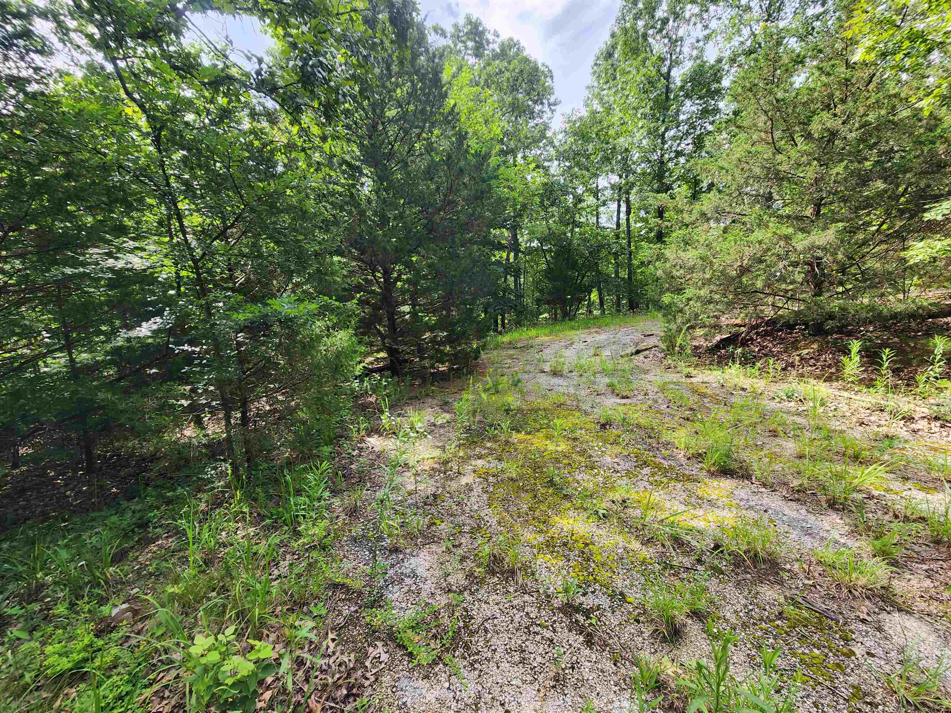 Photo 10 - Vacant Land for sale – L21B1  Coyotero   Cherokee Village, AR