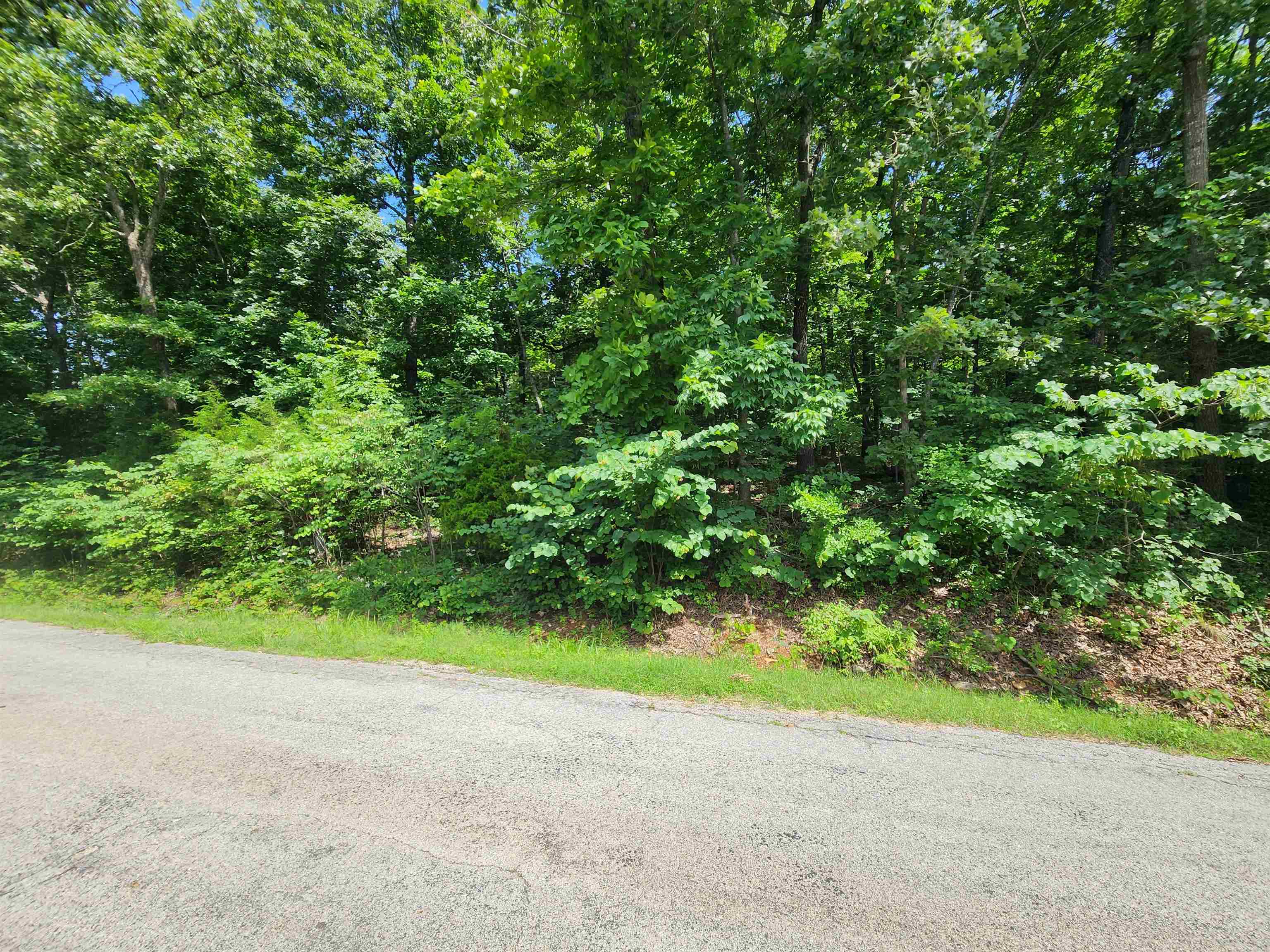 Photo 2 - Vacant Land for sale – L37B12 N lakeshore   Cherokee Village, AR