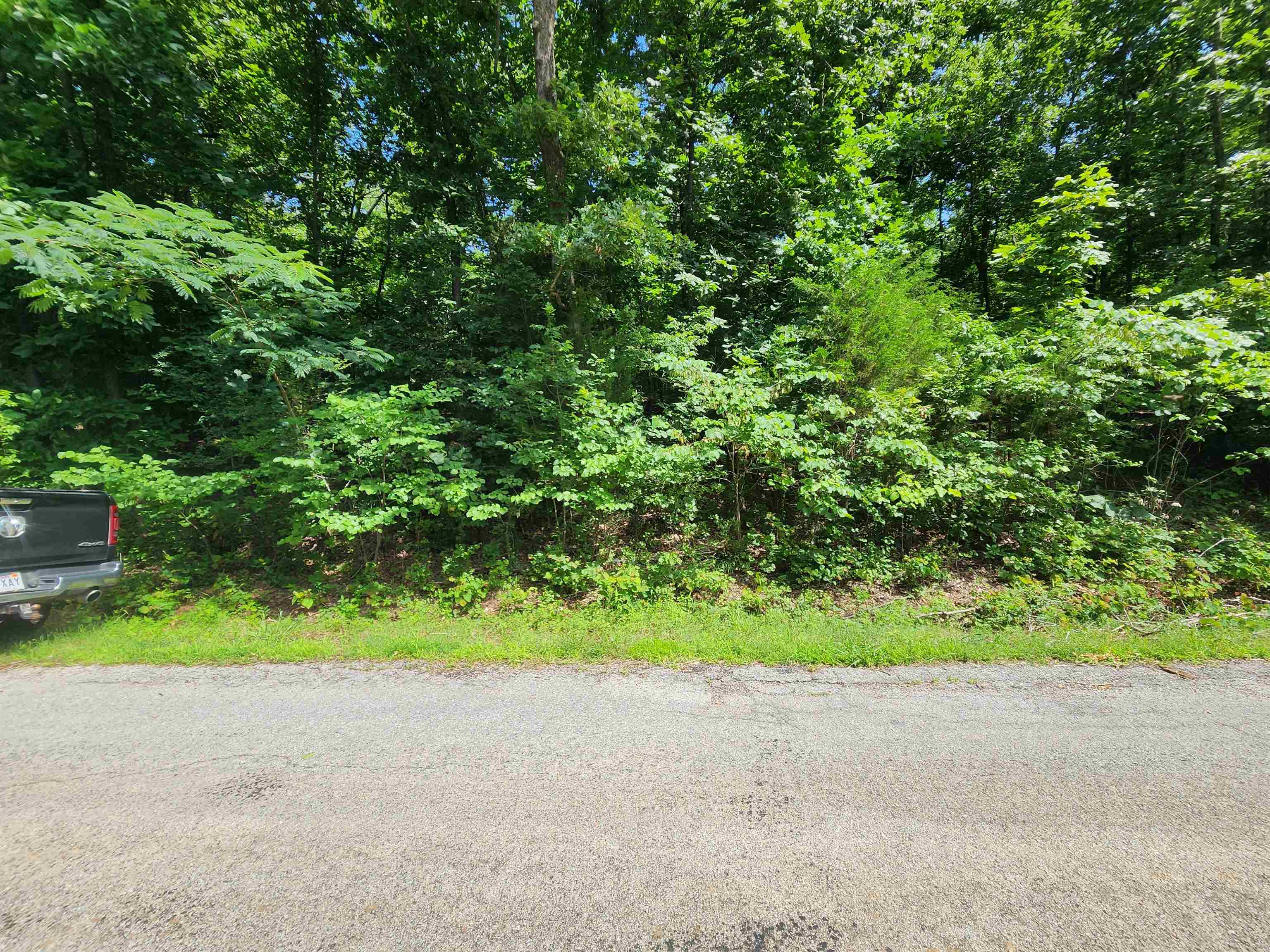Photo 11 - Vacant Land for sale – L37B12 N lakeshore   Cherokee Village, AR