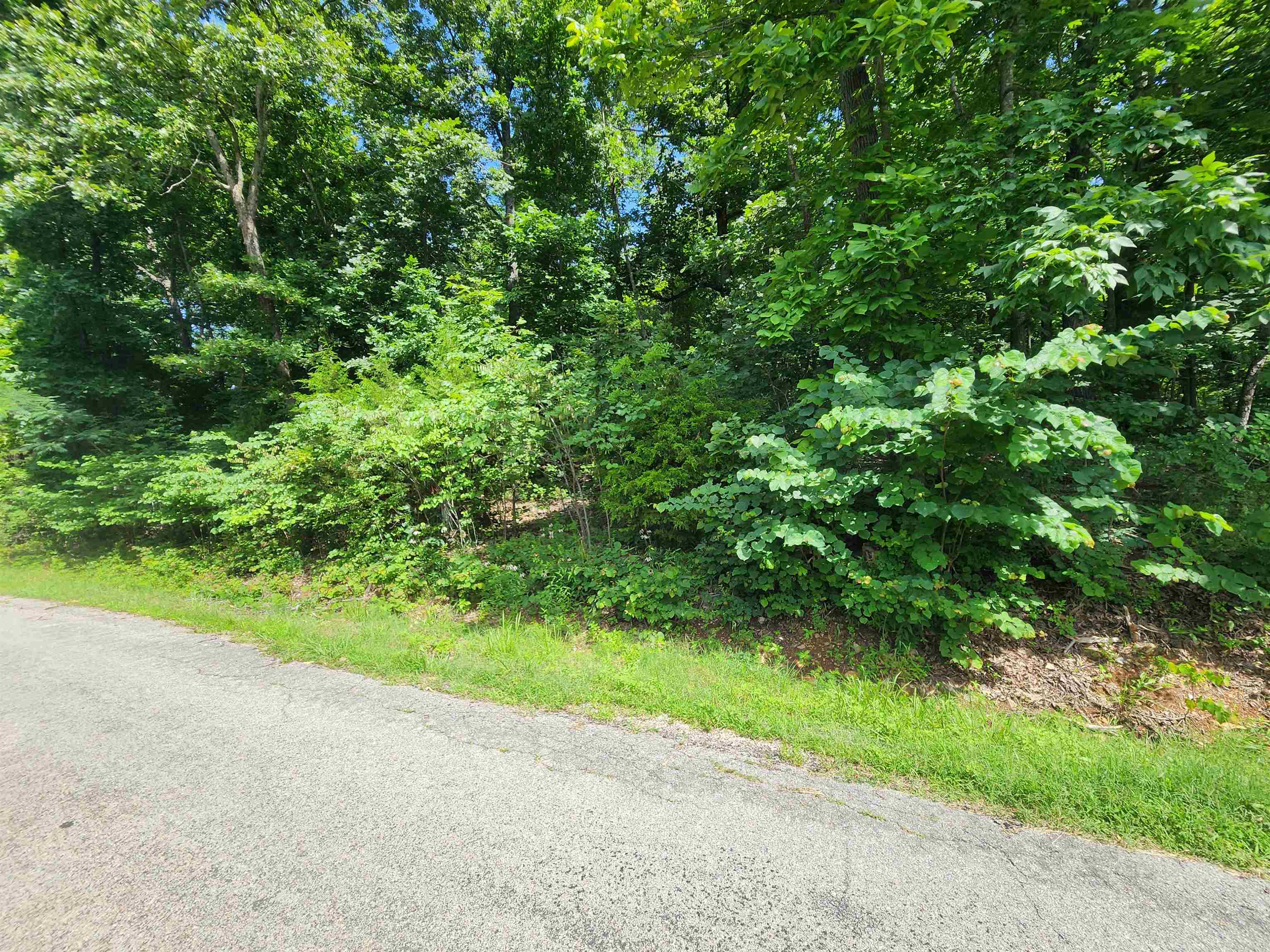 Photo 3 - Vacant Land for sale – L37B12 N lakeshore   Cherokee Village, AR