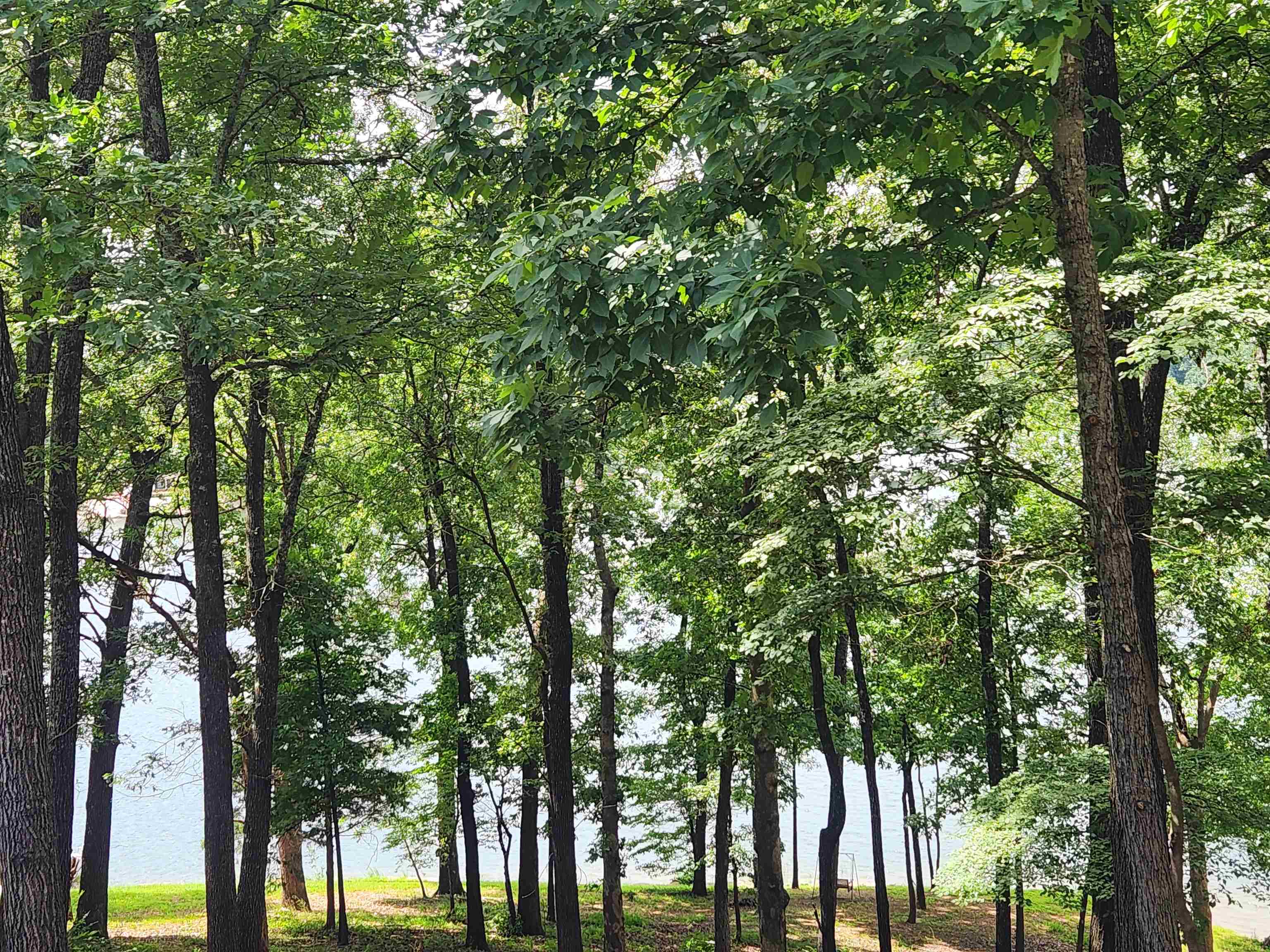 Photo 25 - Vacant Land for sale – L37B12 N lakeshore   Cherokee Village, AR