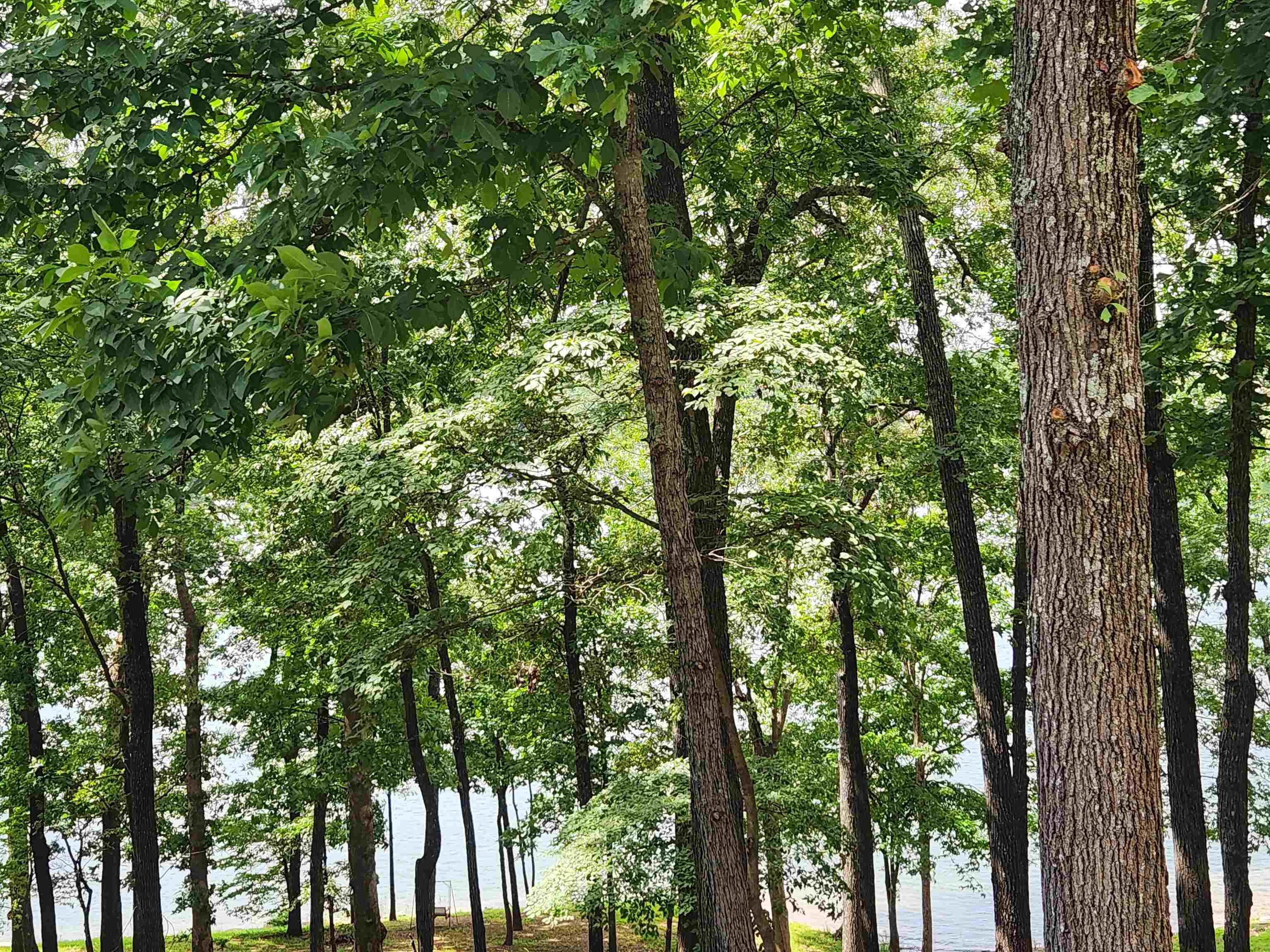 Photo 26 - Vacant Land for sale – L37B12 N lakeshore   Cherokee Village, AR