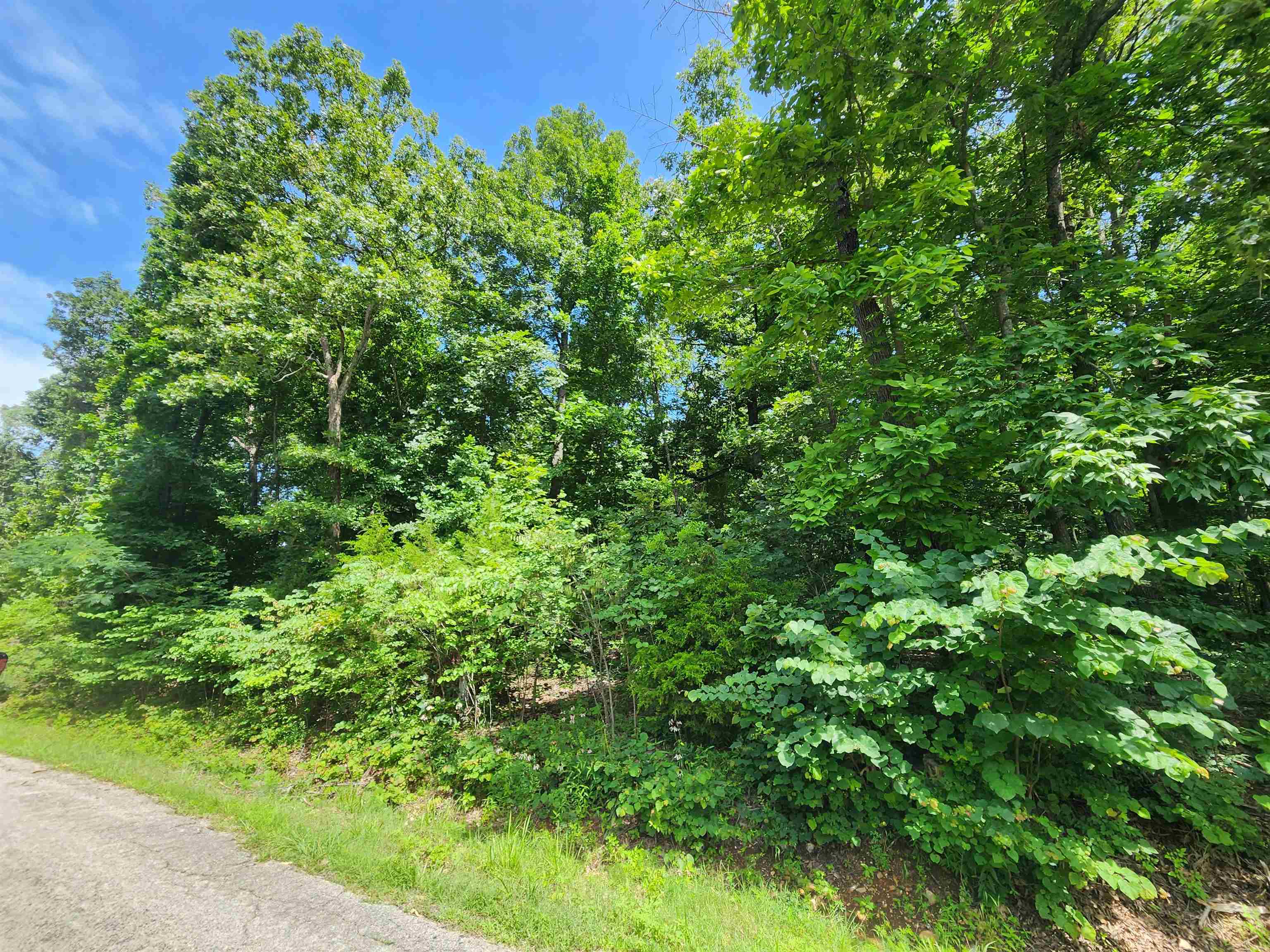 Photo 4 - Vacant Land for sale – L37B12 N lakeshore   Cherokee Village, AR