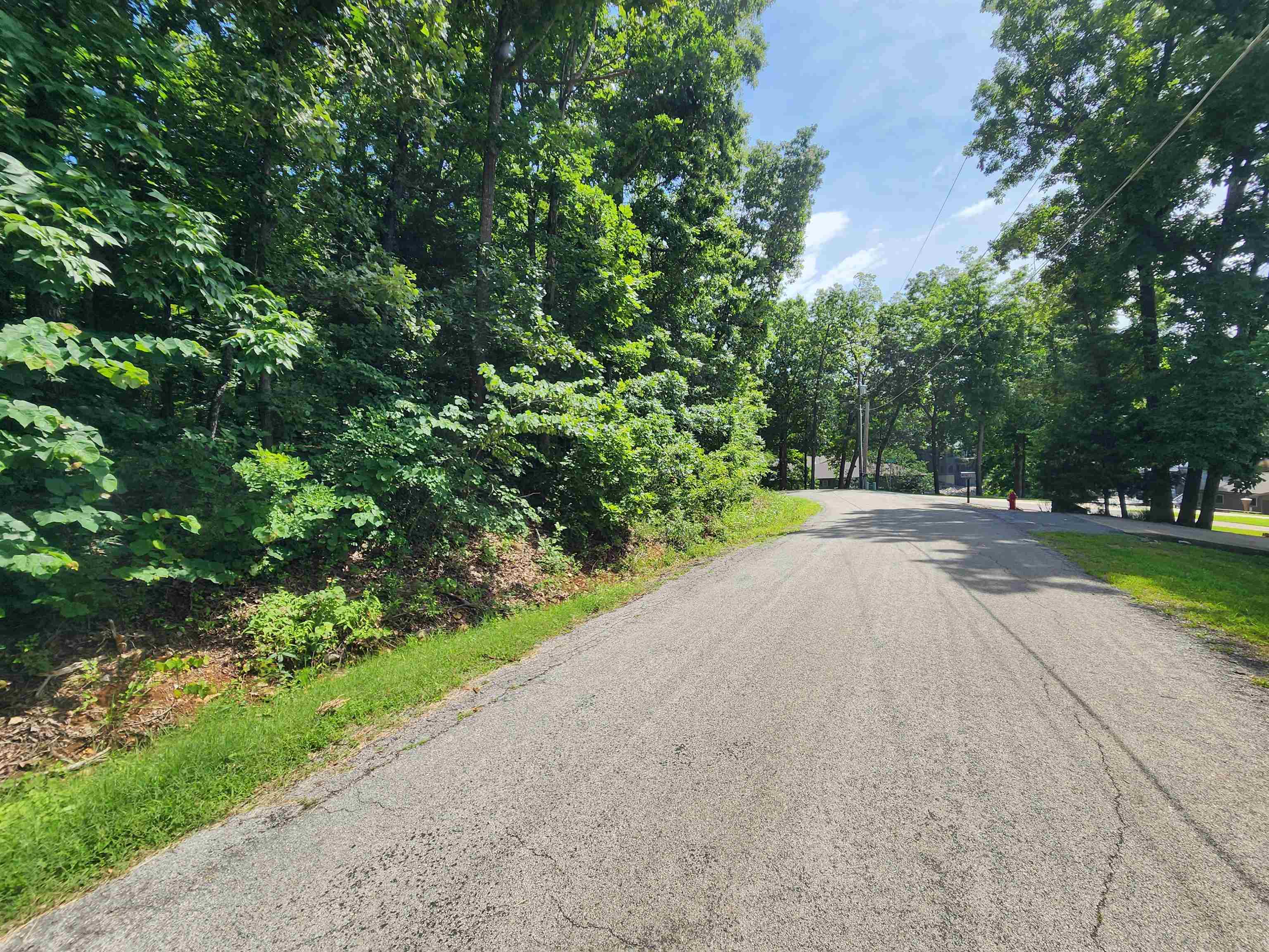 Photo 5 - Vacant Land for sale – L37B12 N lakeshore   Cherokee Village, AR