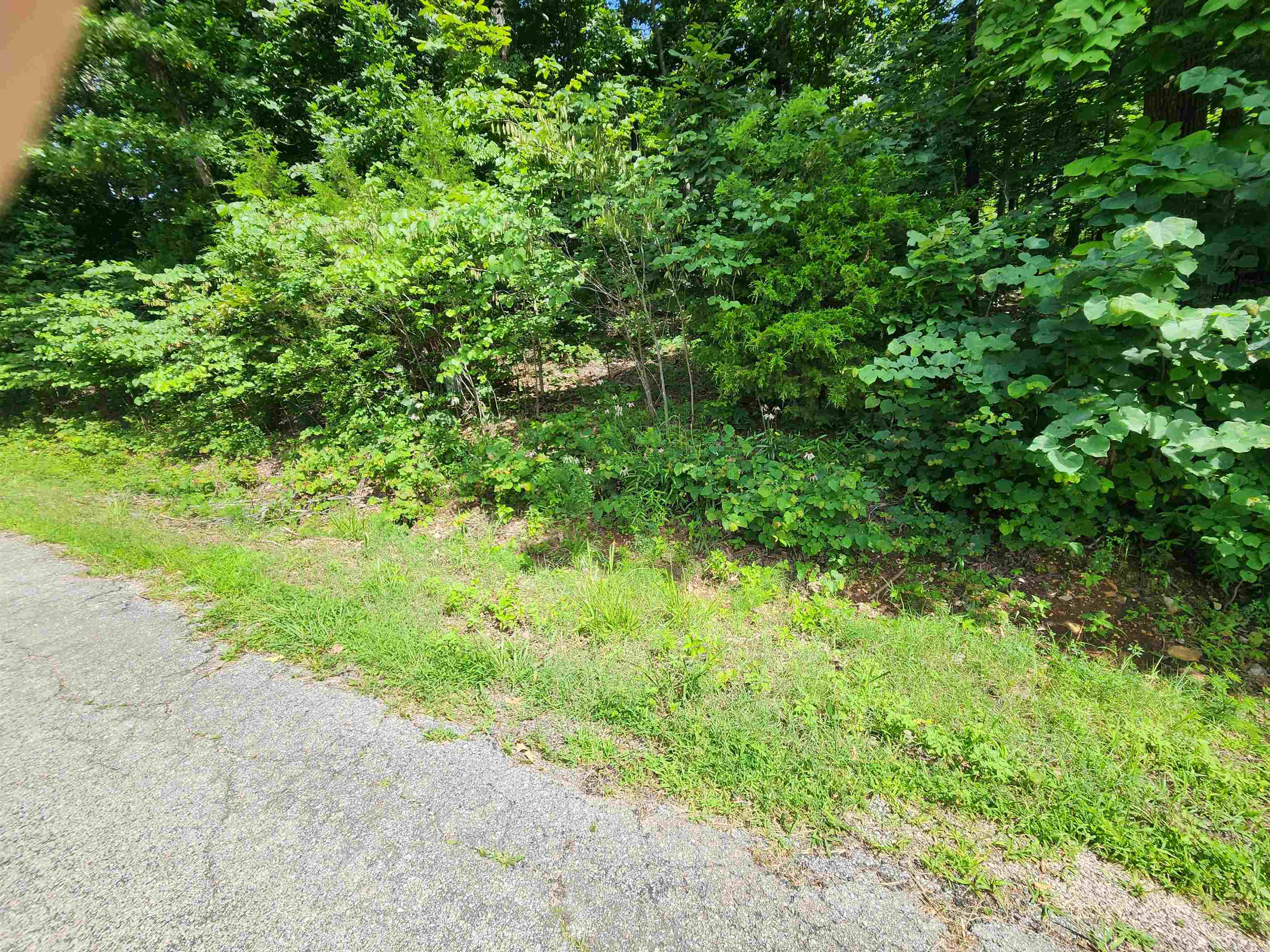 Photo 6 - Vacant Land for sale – L37B12 N lakeshore   Cherokee Village, AR
