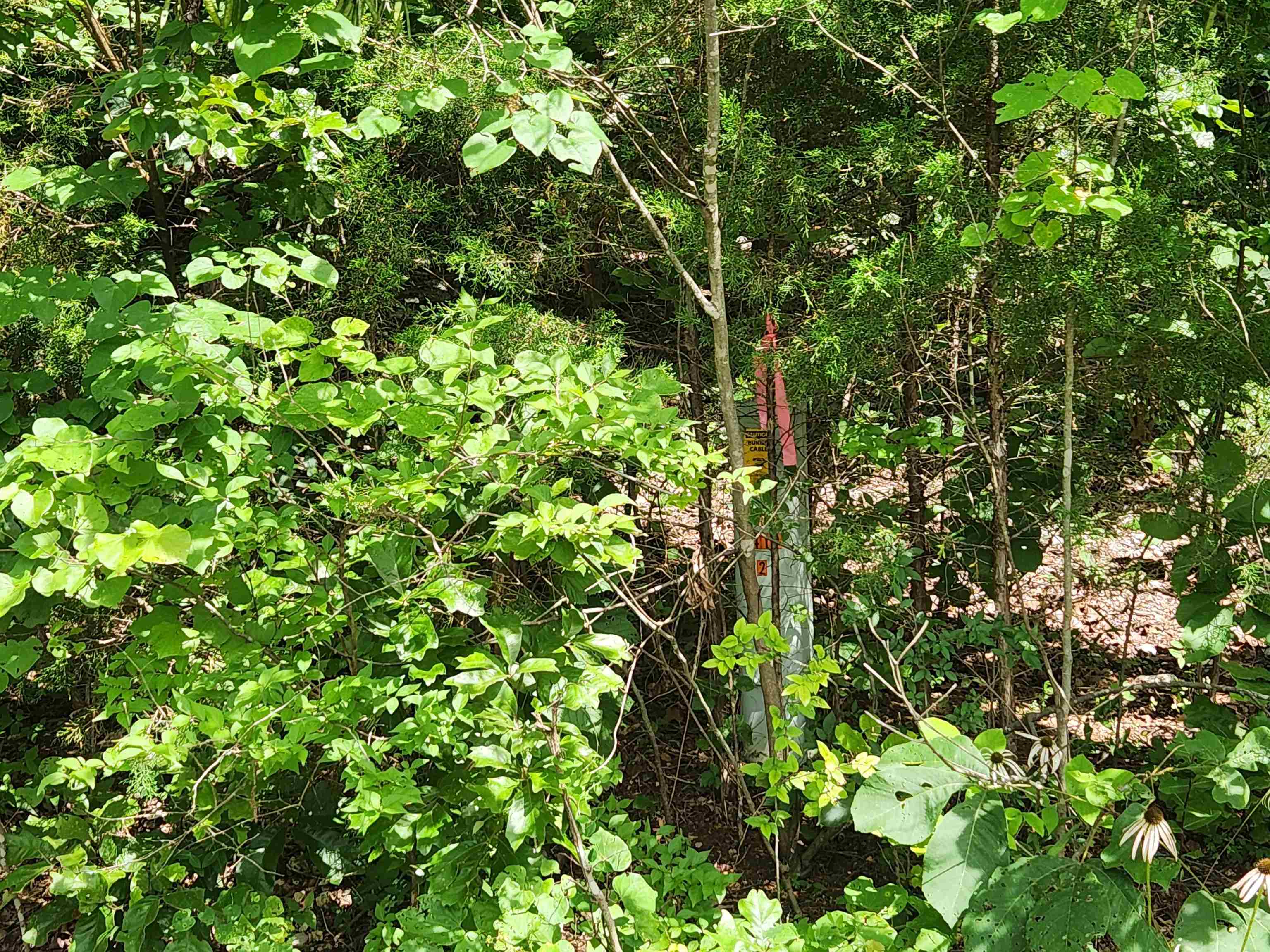 Photo 8 - Vacant Land for sale – L37B12 N lakeshore   Cherokee Village, AR
