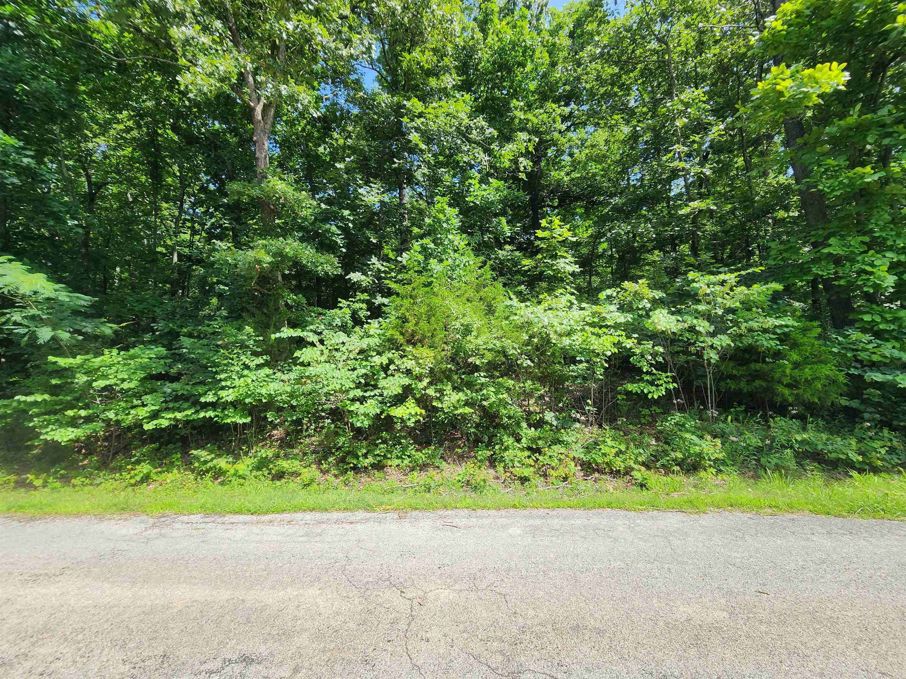 Photo 10 - Vacant Land for sale – L37B12 N lakeshore   Cherokee Village, AR