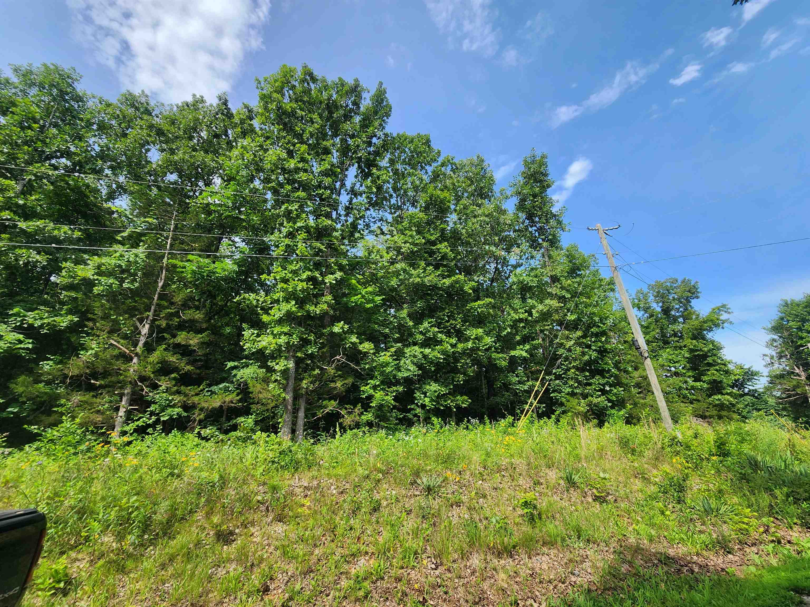 Photo 2 - Vacant Land for sale –   Pinal   Cherokee Village, AR