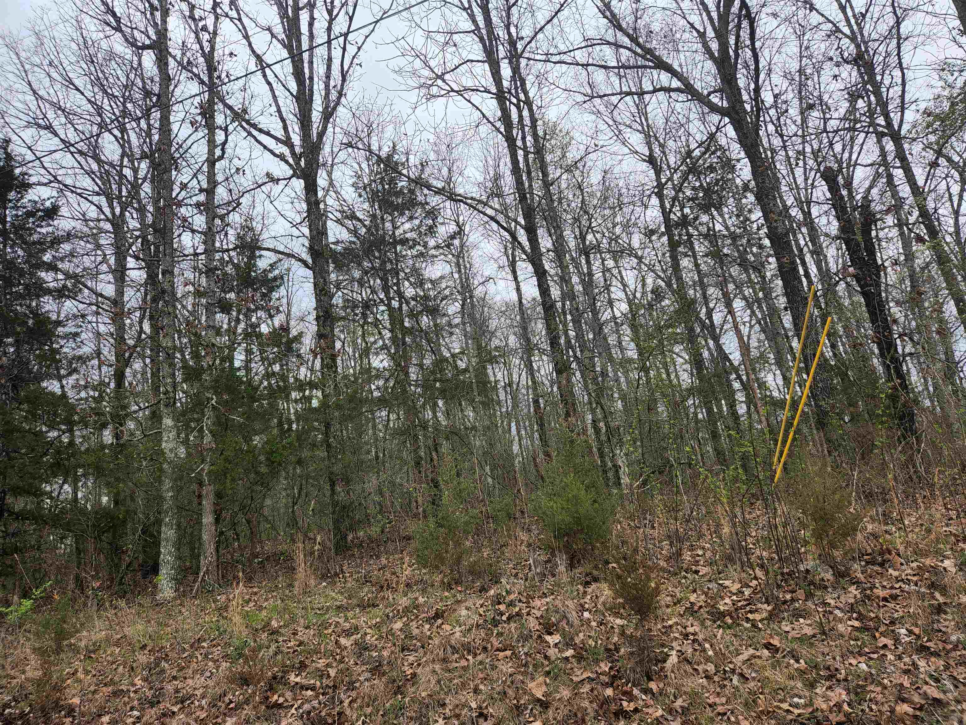 Photo 11 - Vacant Land for sale –   Pinal   Cherokee Village, AR