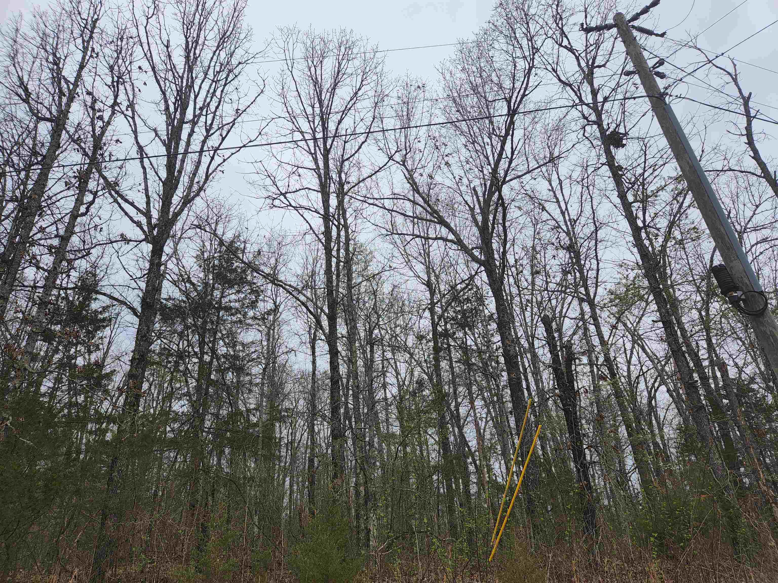Photo 12 - Vacant Land for sale –   Pinal   Cherokee Village, AR