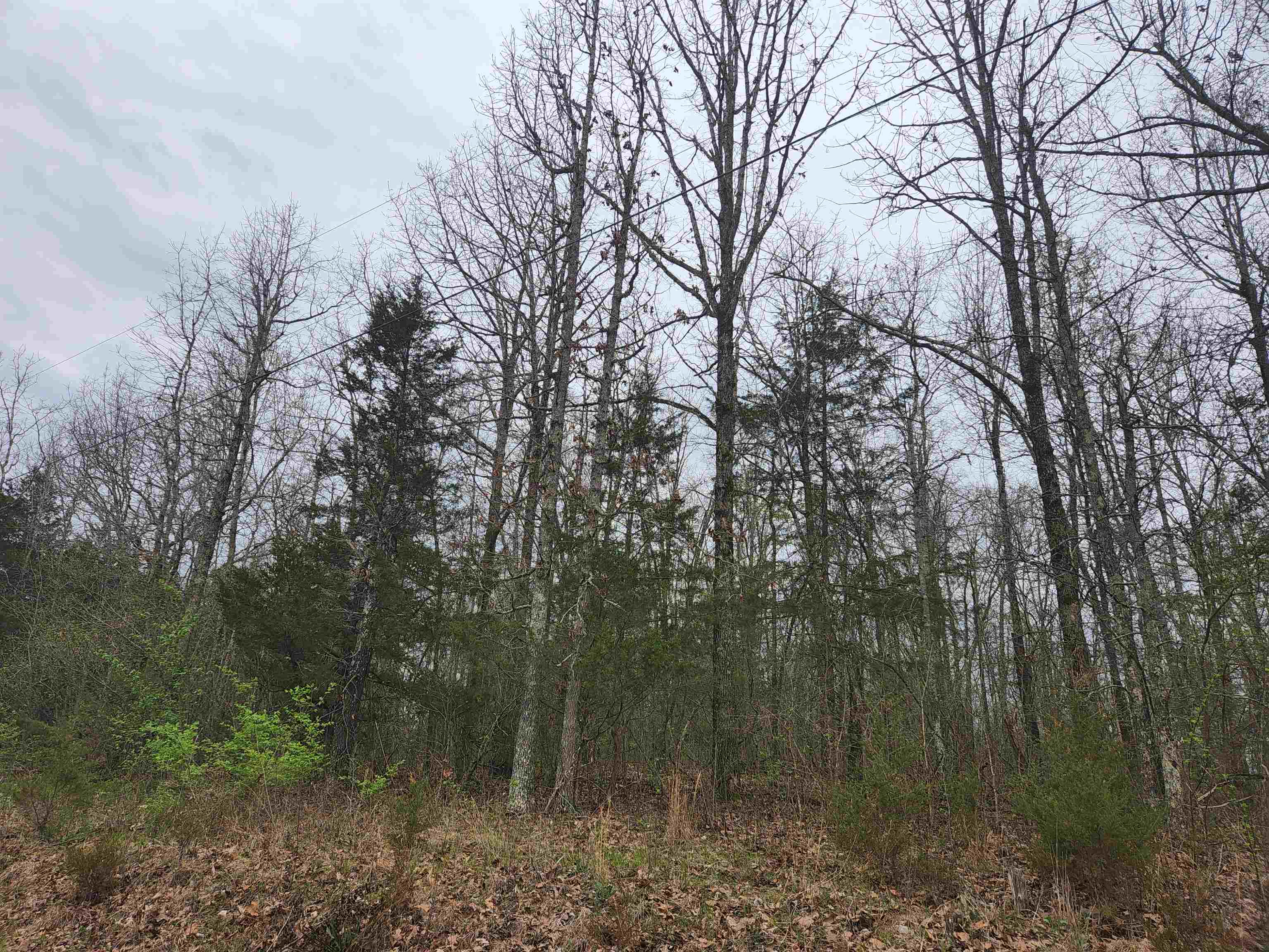 Photo 13 - Vacant Land for sale –   Pinal   Cherokee Village, AR