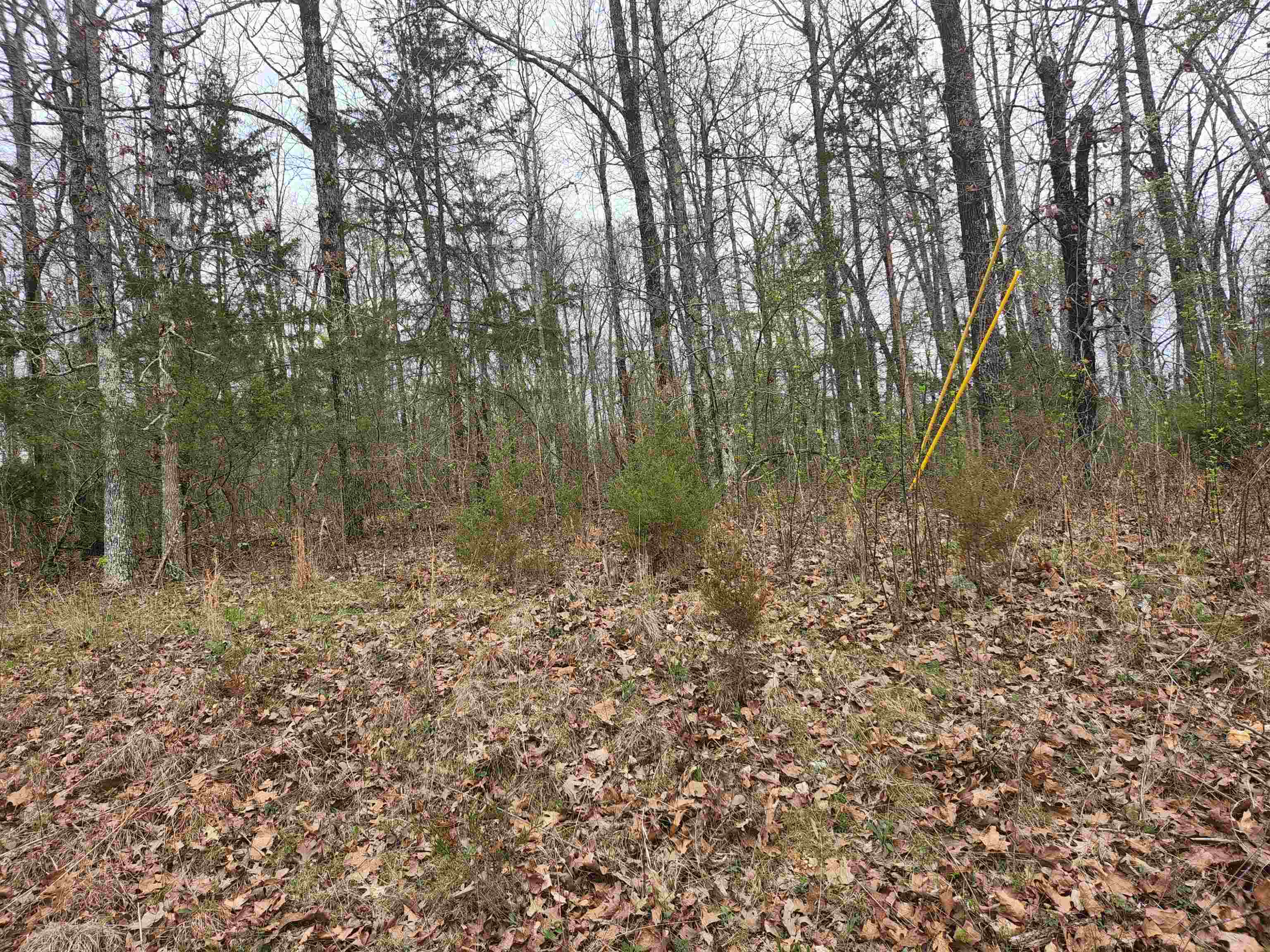 Photo 14 - Vacant Land for sale –   Pinal   Cherokee Village, AR