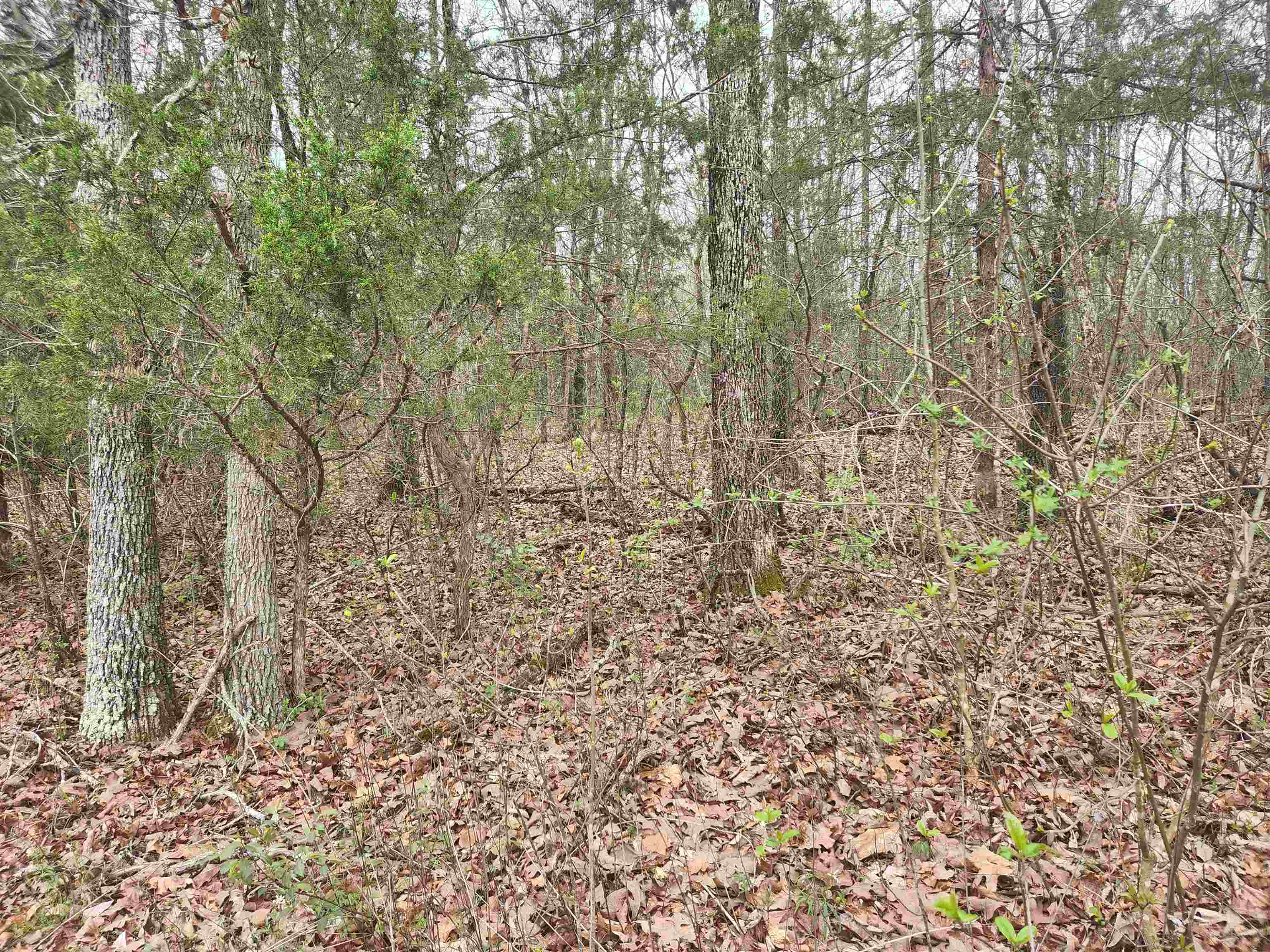 Photo 15 - Vacant Land for sale –   Pinal   Cherokee Village, AR