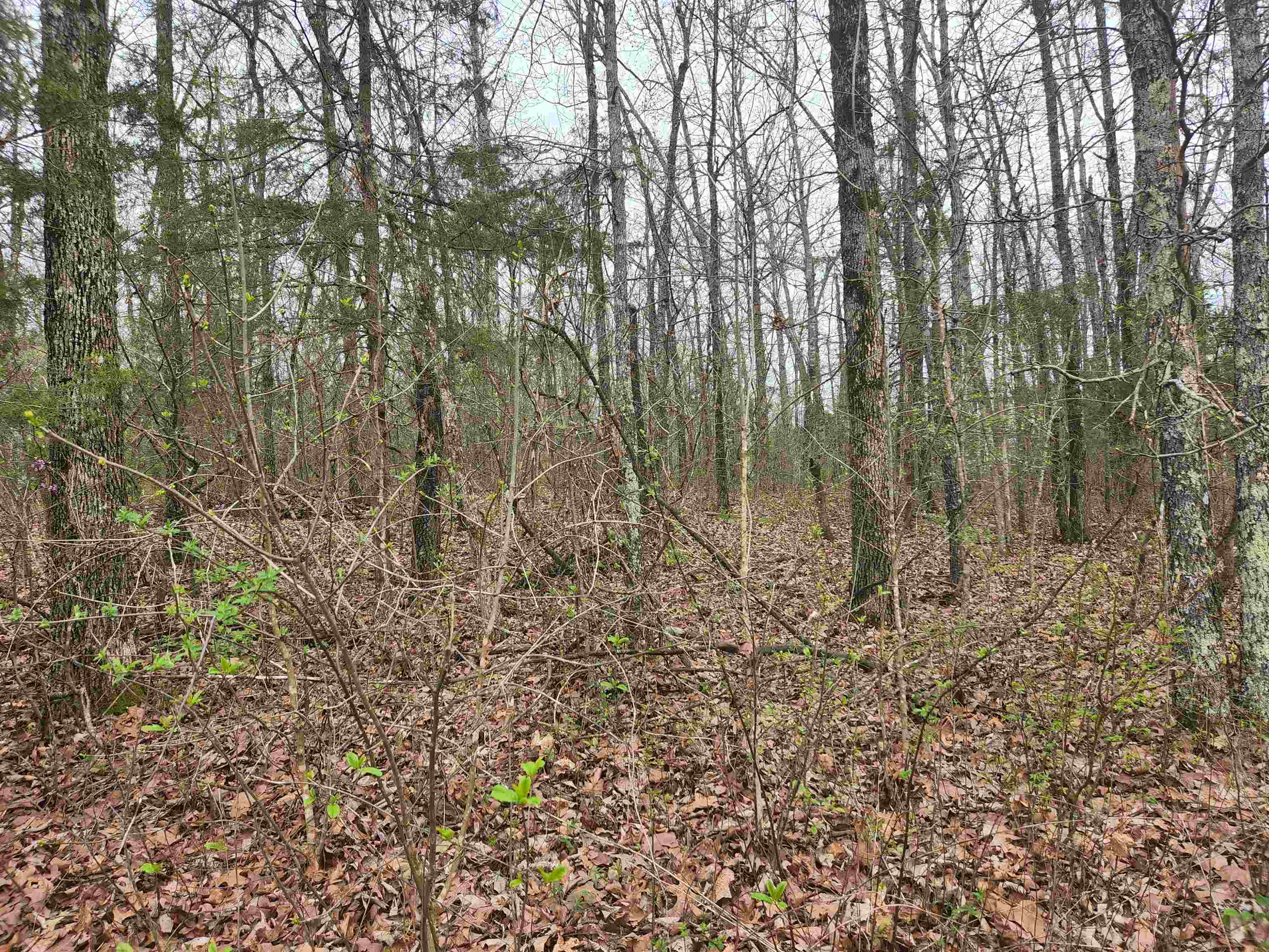 Photo 16 - Vacant Land for sale –   Pinal   Cherokee Village, AR