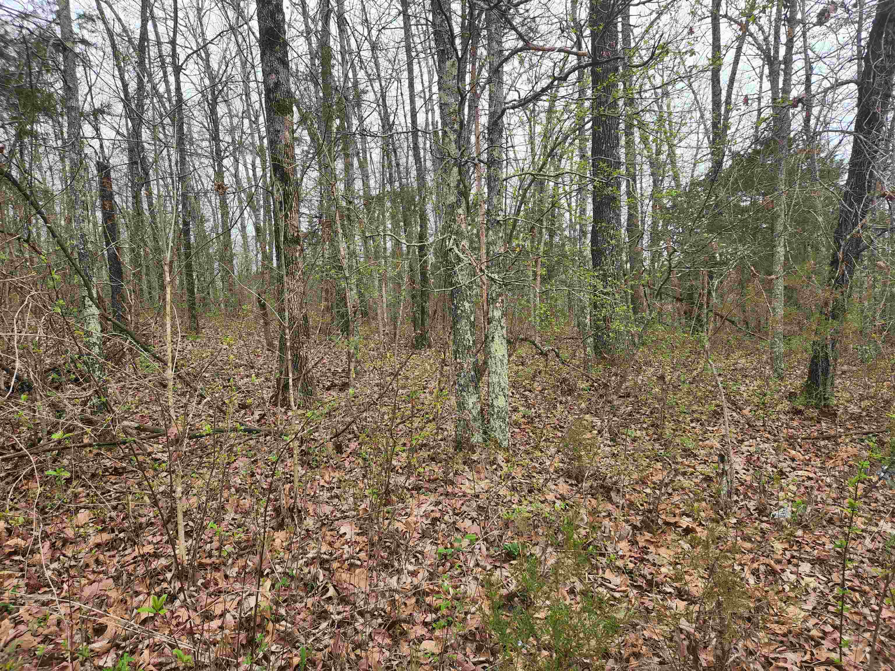 Photo 17 - Vacant Land for sale –   Pinal   Cherokee Village, AR