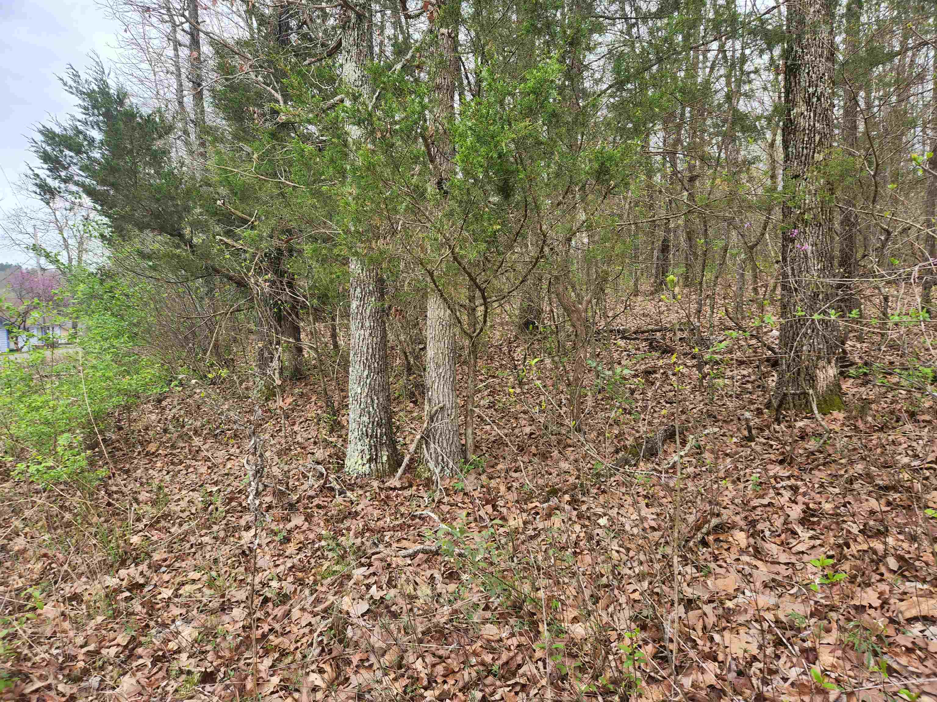 Photo 18 - Vacant Land for sale –   Pinal   Cherokee Village, AR