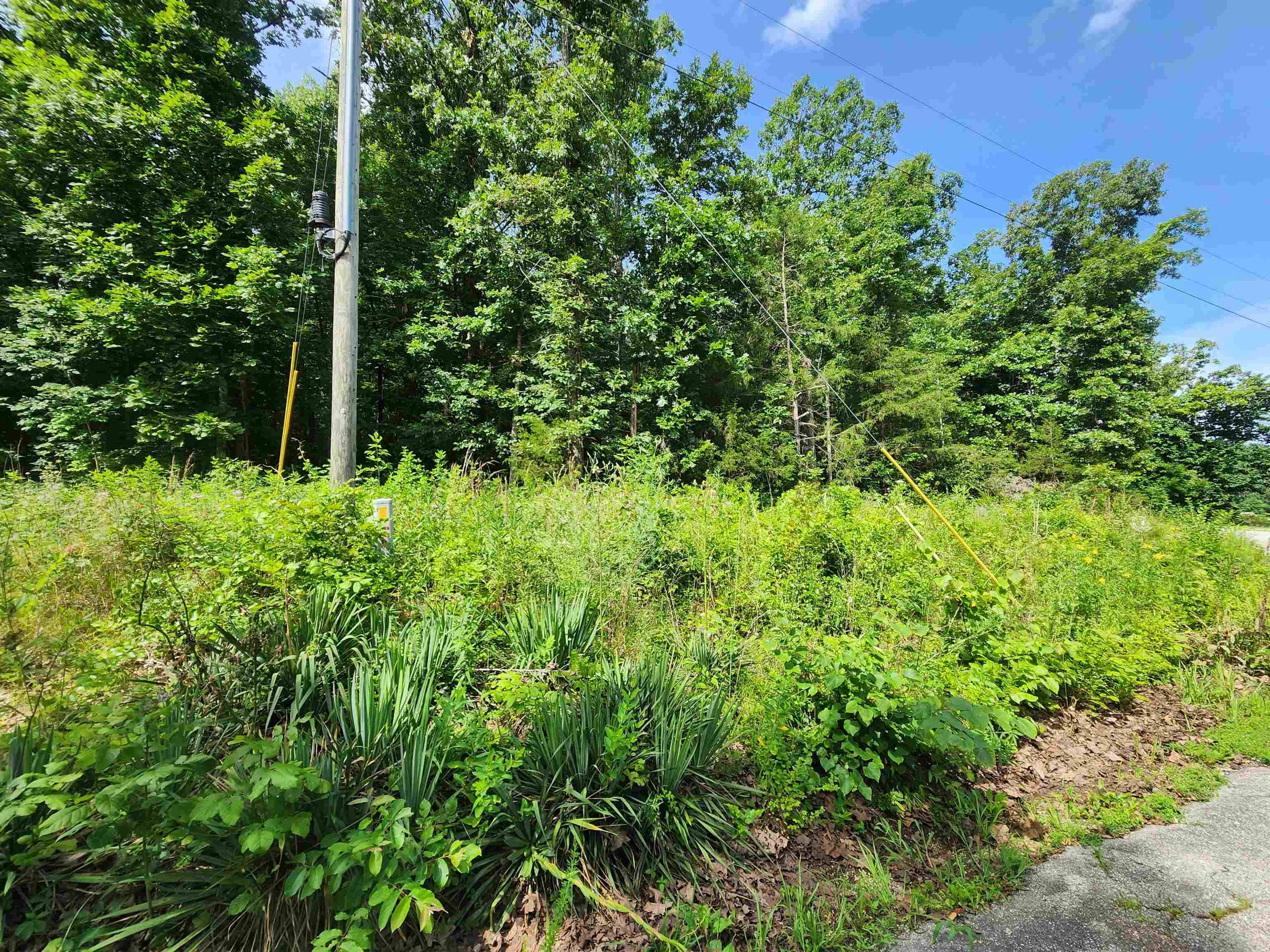 Photo 19 - Vacant Land for sale –   Pinal   Cherokee Village, AR