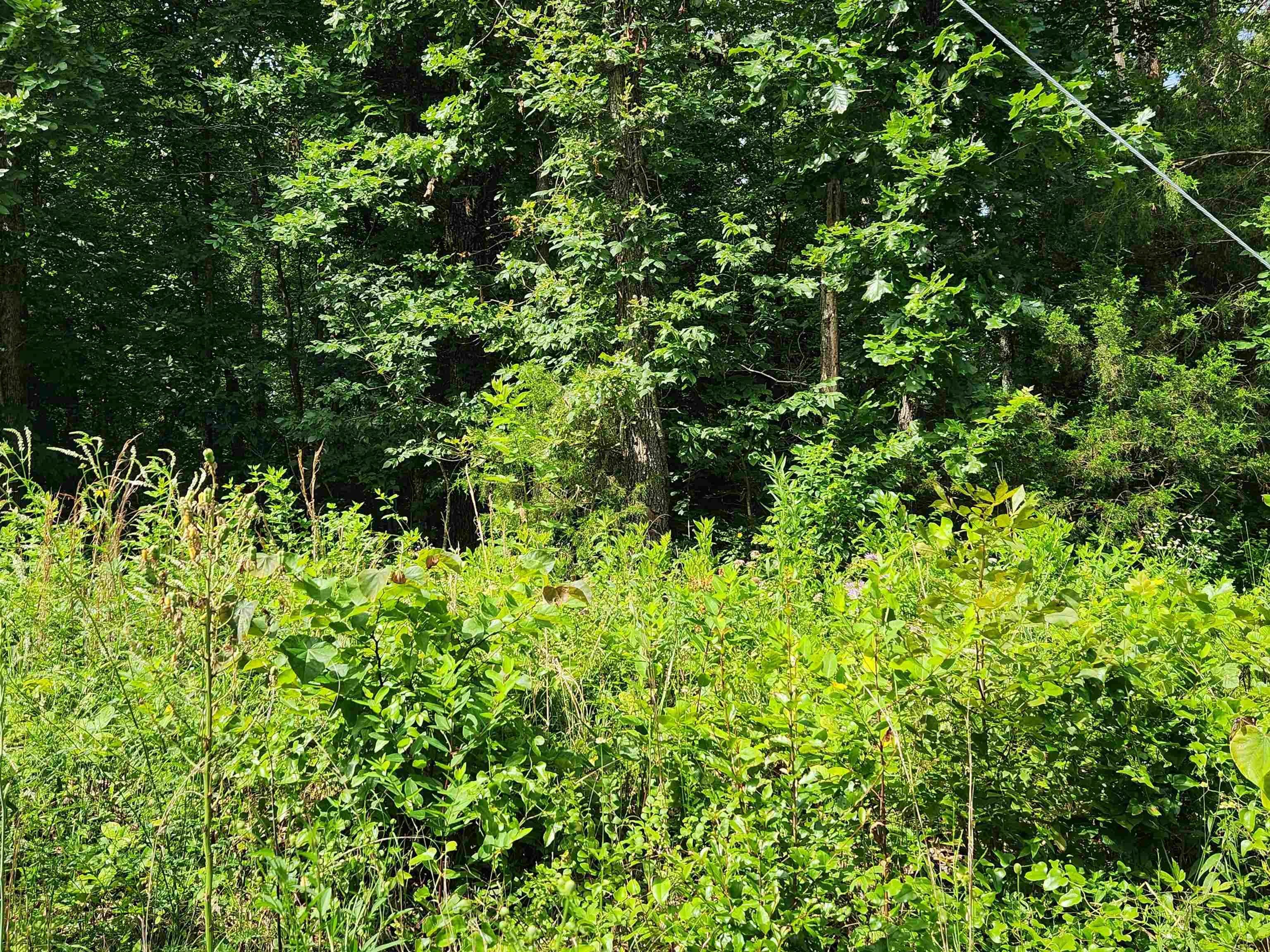 Photo 20 - Vacant Land for sale –   Pinal   Cherokee Village, AR