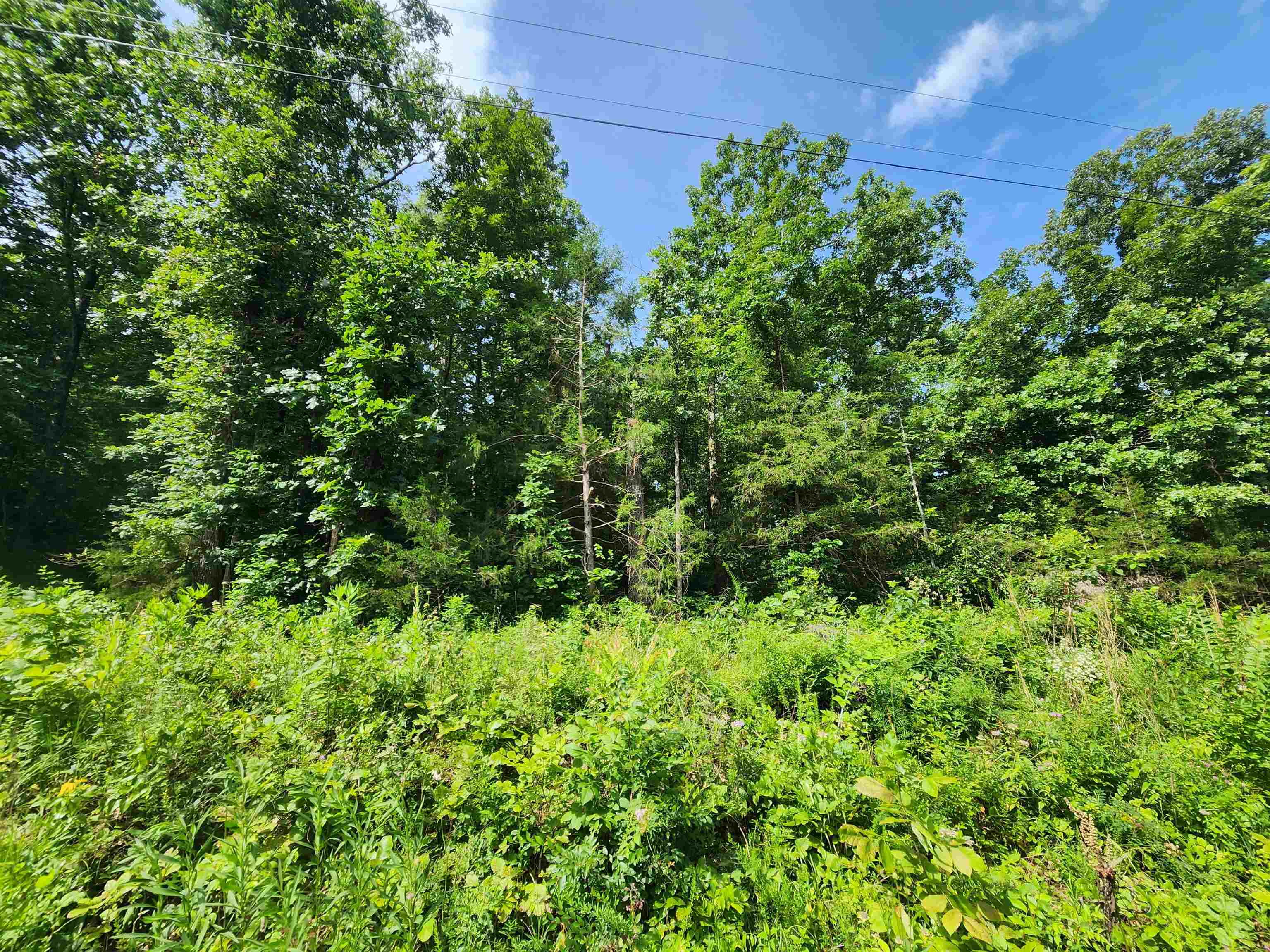 Photo 21 - Vacant Land for sale –   Pinal   Cherokee Village, AR