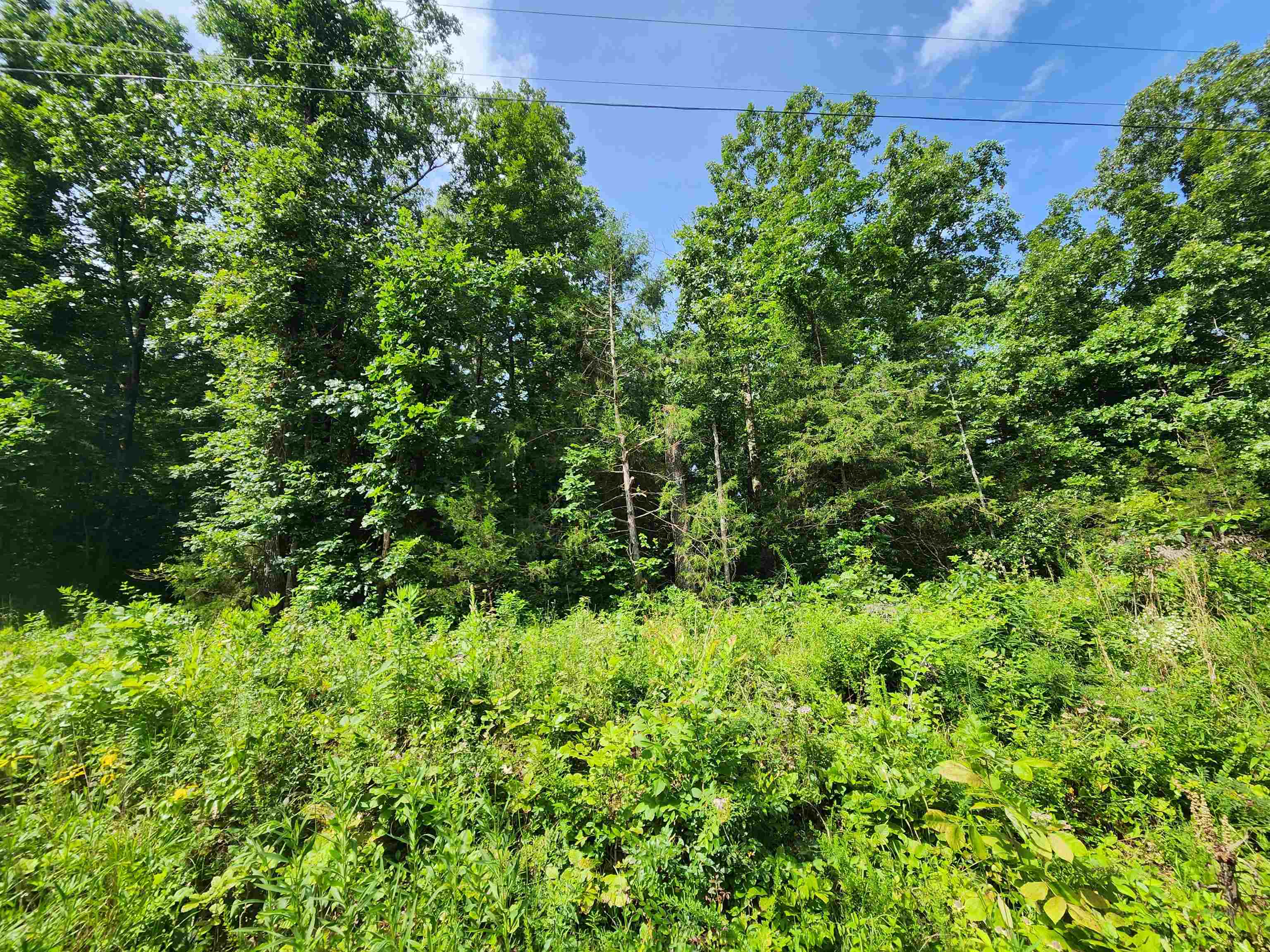 Photo 23 - Vacant Land for sale –   Pinal   Cherokee Village, AR