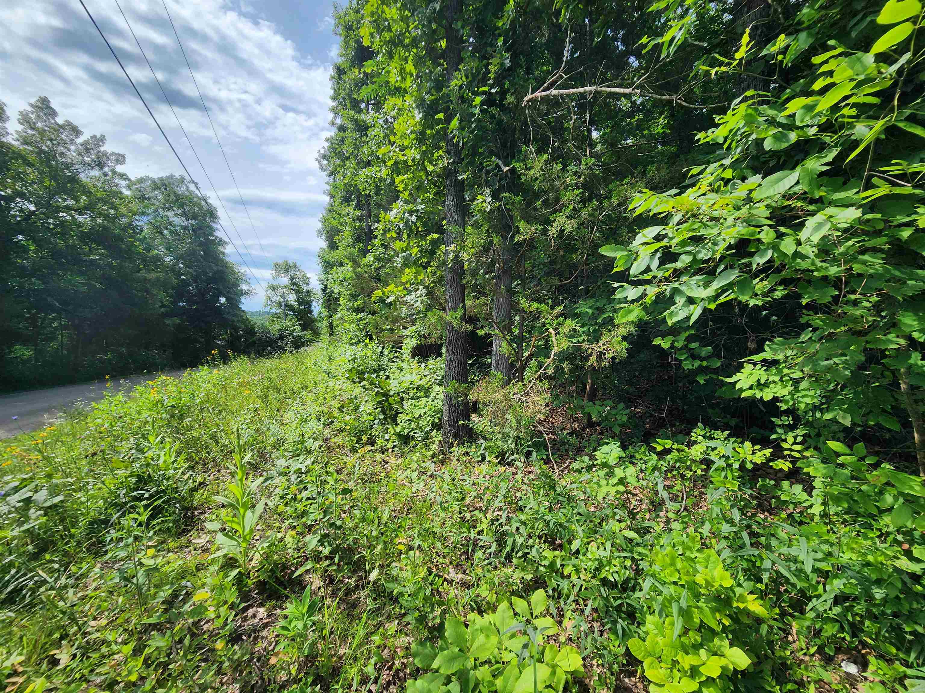 Photo 25 - Vacant Land for sale –   Pinal   Cherokee Village, AR