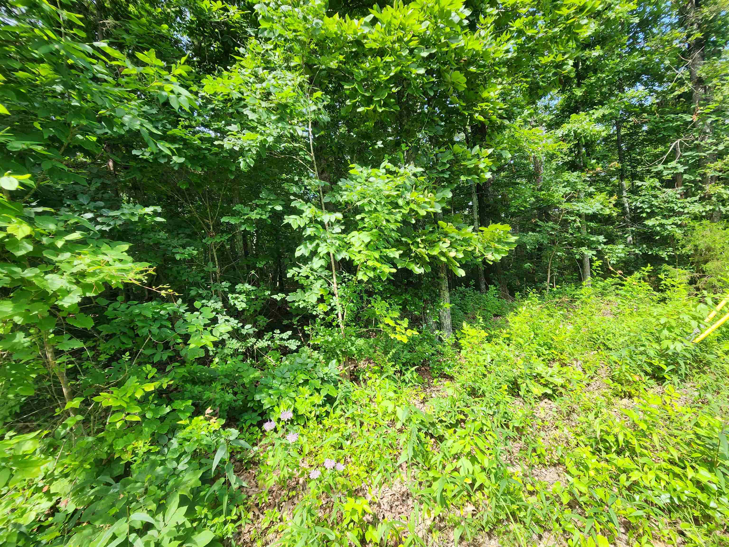 Photo 26 - Vacant Land for sale –   Pinal   Cherokee Village, AR