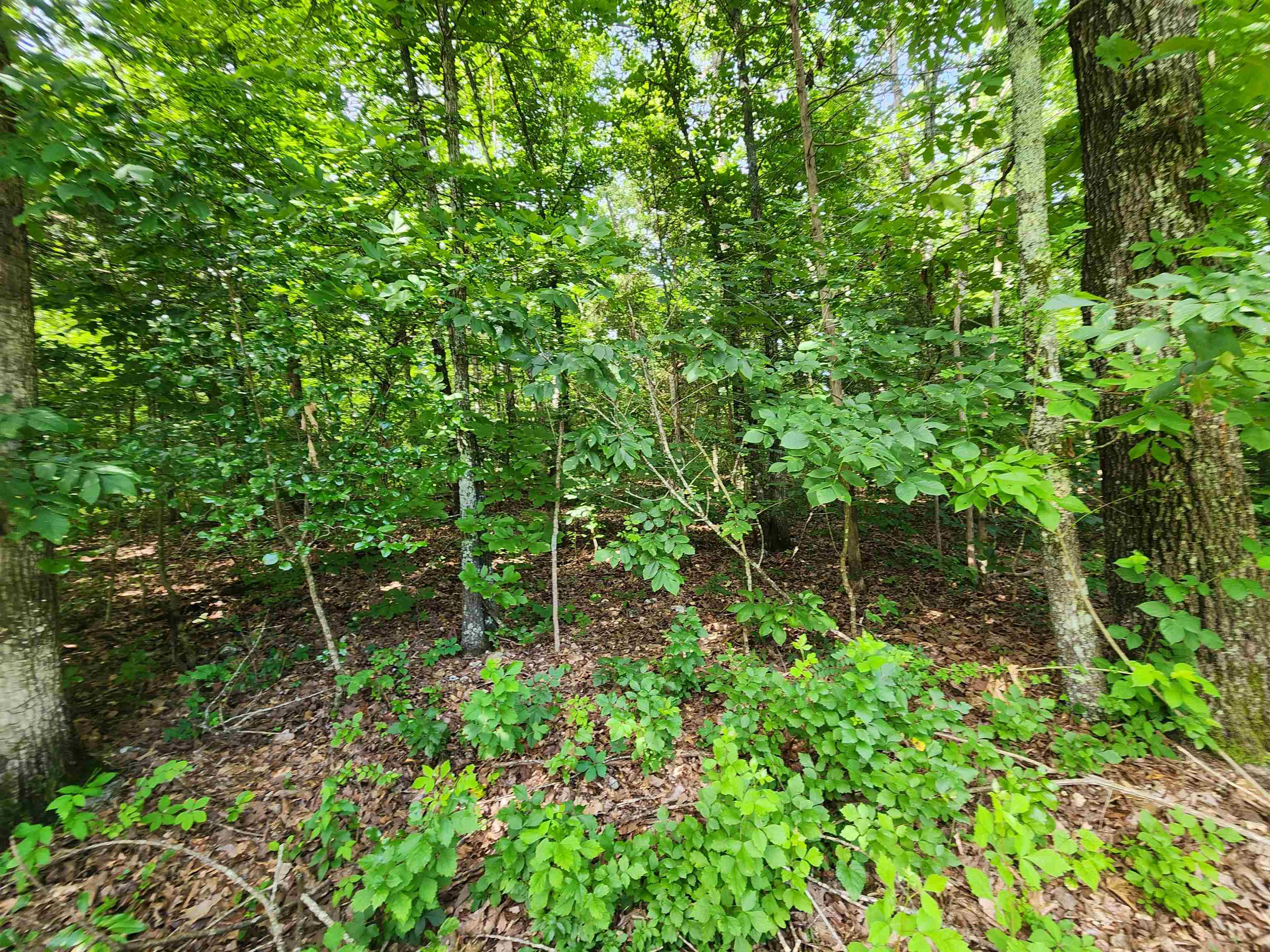 Photo 27 - Vacant Land for sale –   Pinal   Cherokee Village, AR