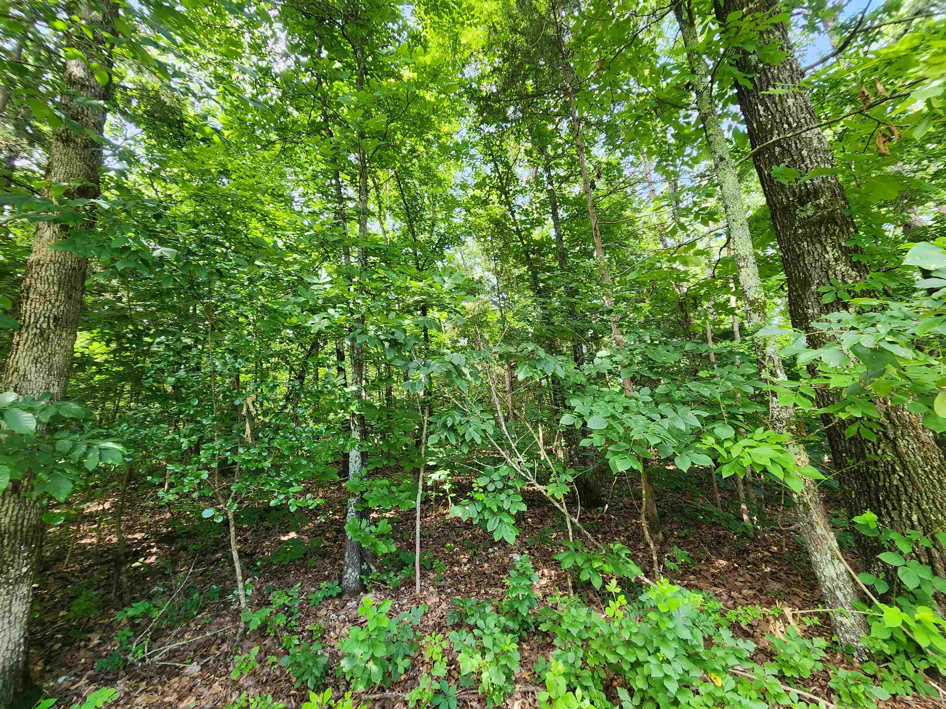 Photo 28 - Vacant Land for sale –   Pinal   Cherokee Village, AR