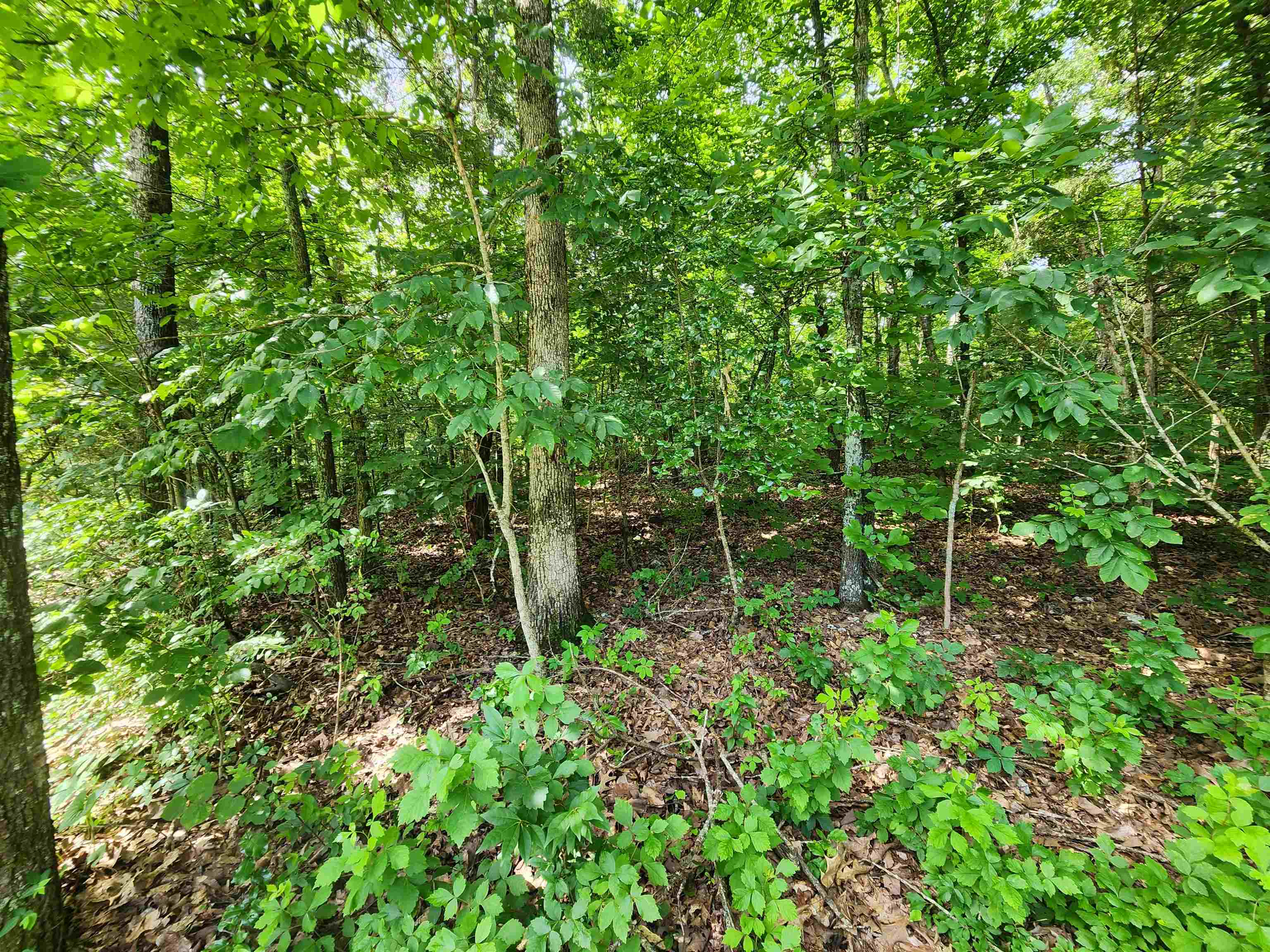 Photo 29 - Vacant Land for sale –   Pinal   Cherokee Village, AR