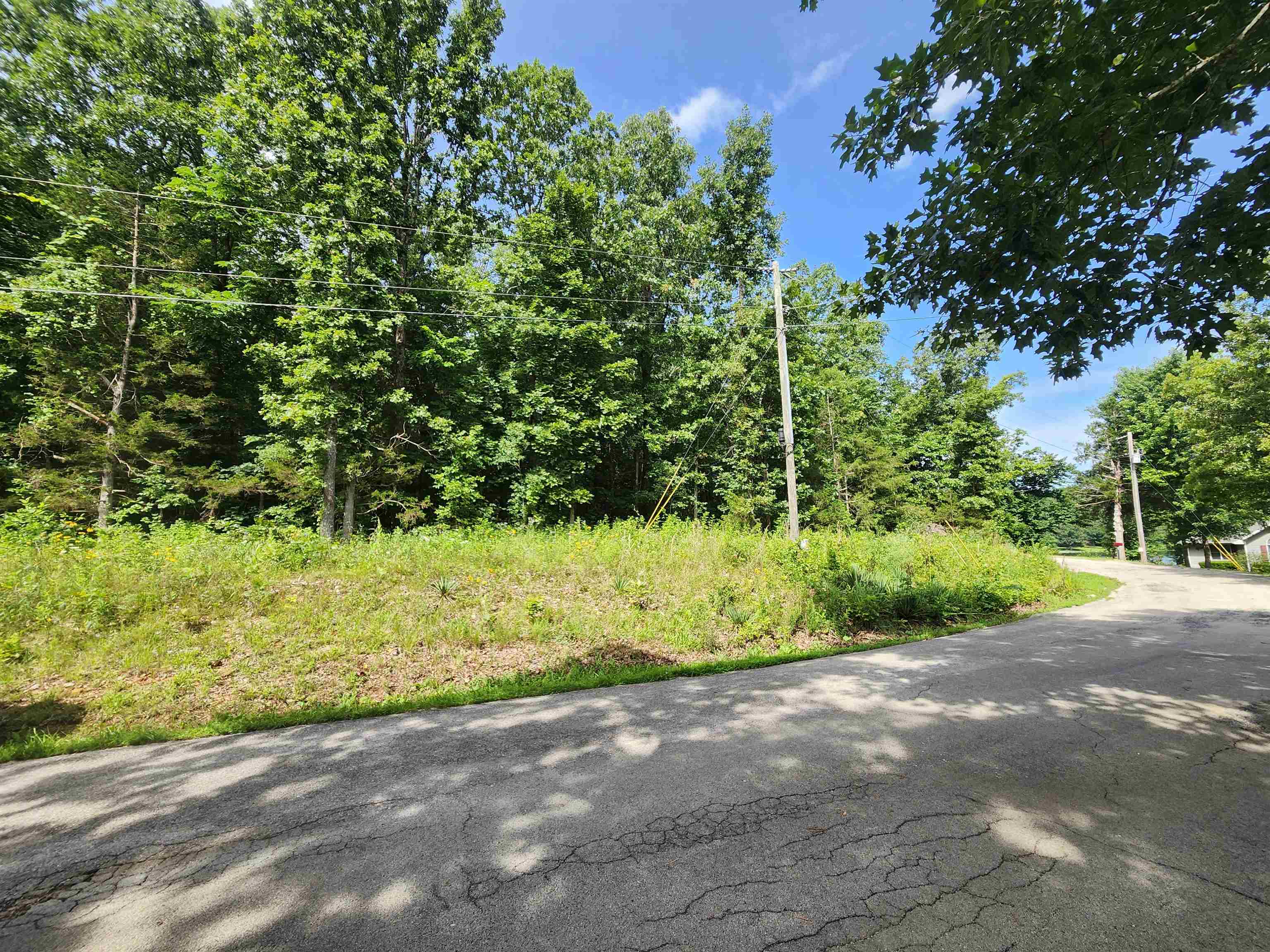 Photo 4 - Vacant Land for sale –   Pinal   Cherokee Village, AR