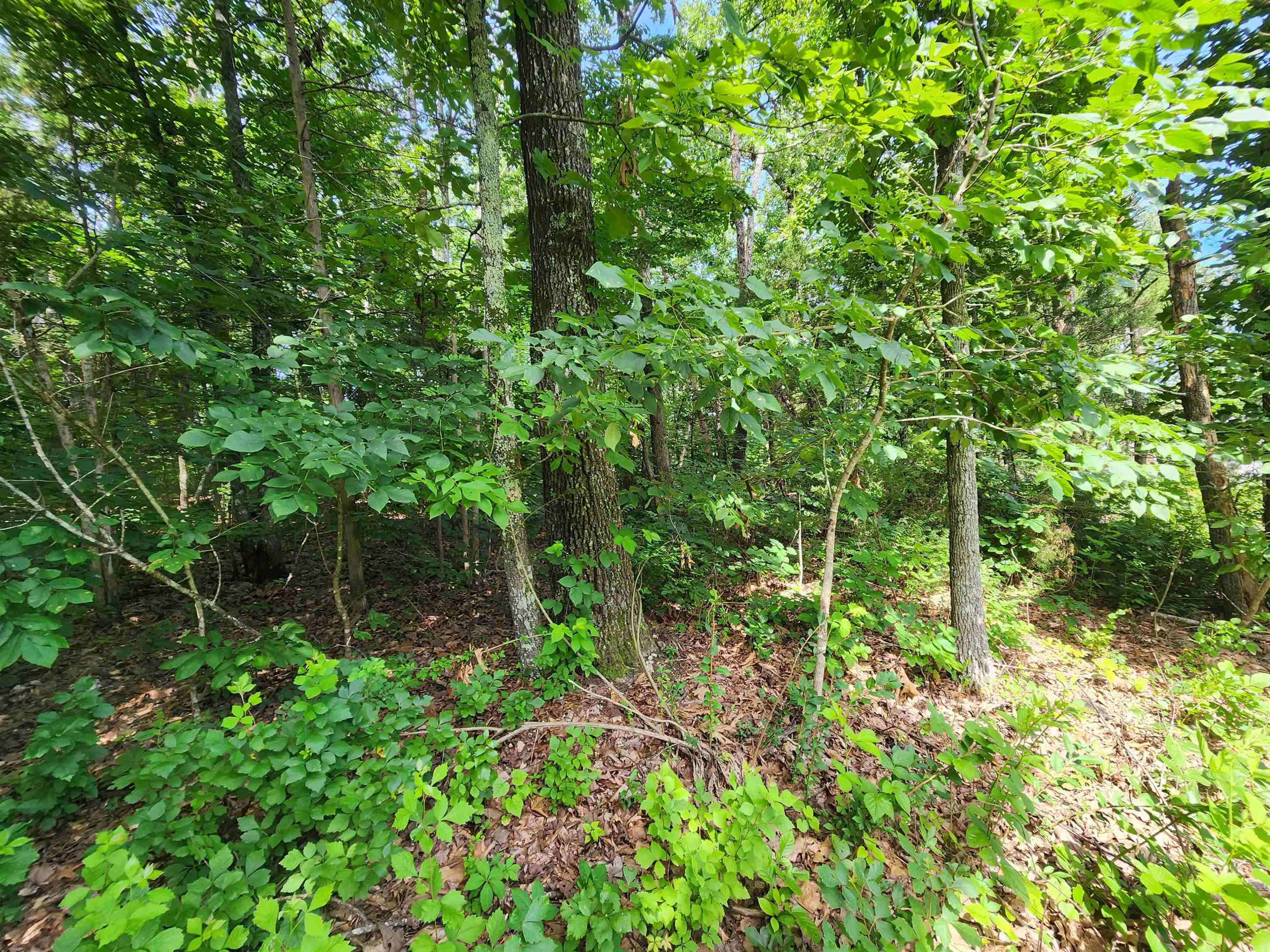 Photo 31 - Vacant Land for sale –   Pinal   Cherokee Village, AR