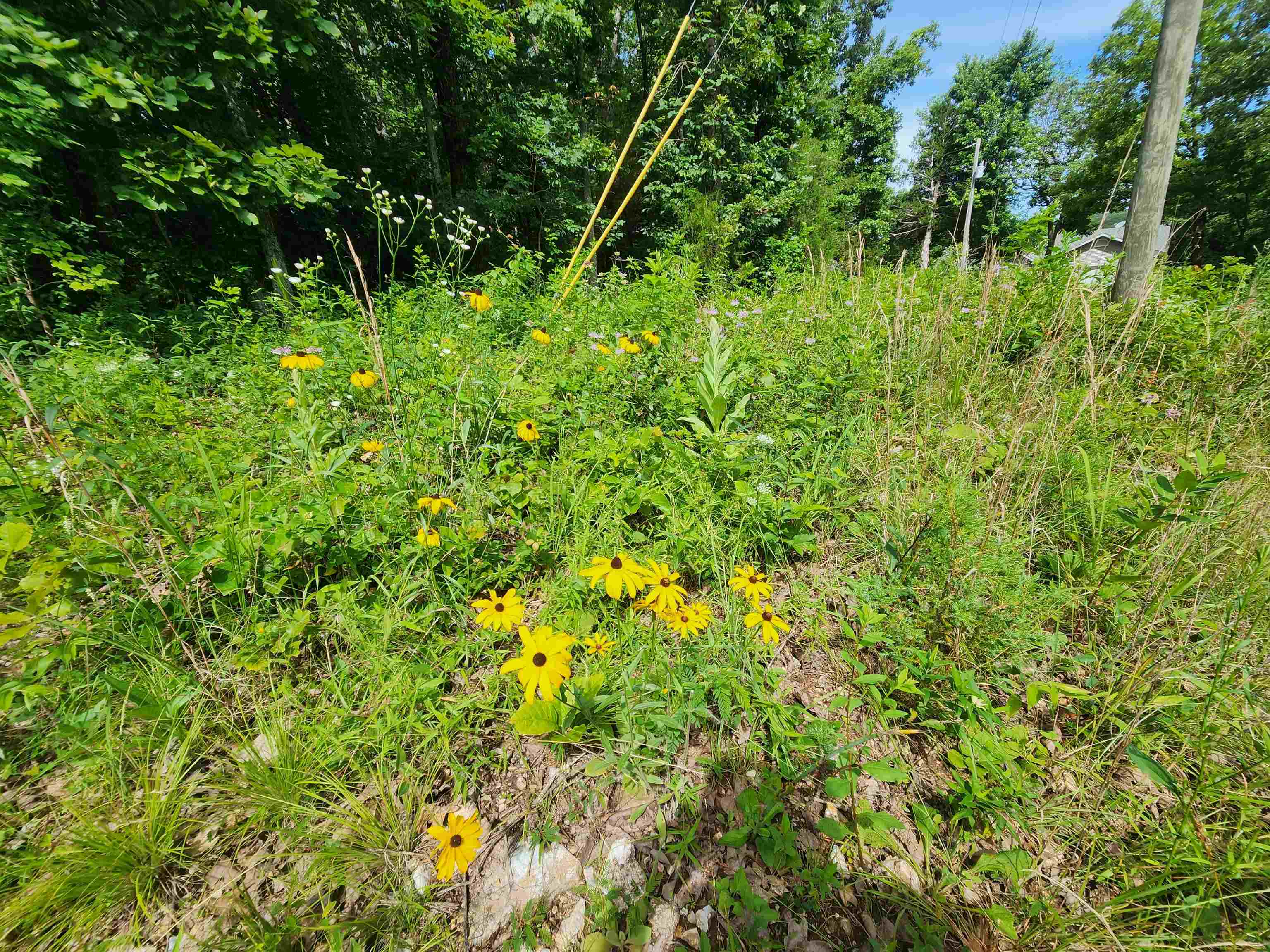 Photo 35 - Vacant Land for sale –   Pinal   Cherokee Village, AR