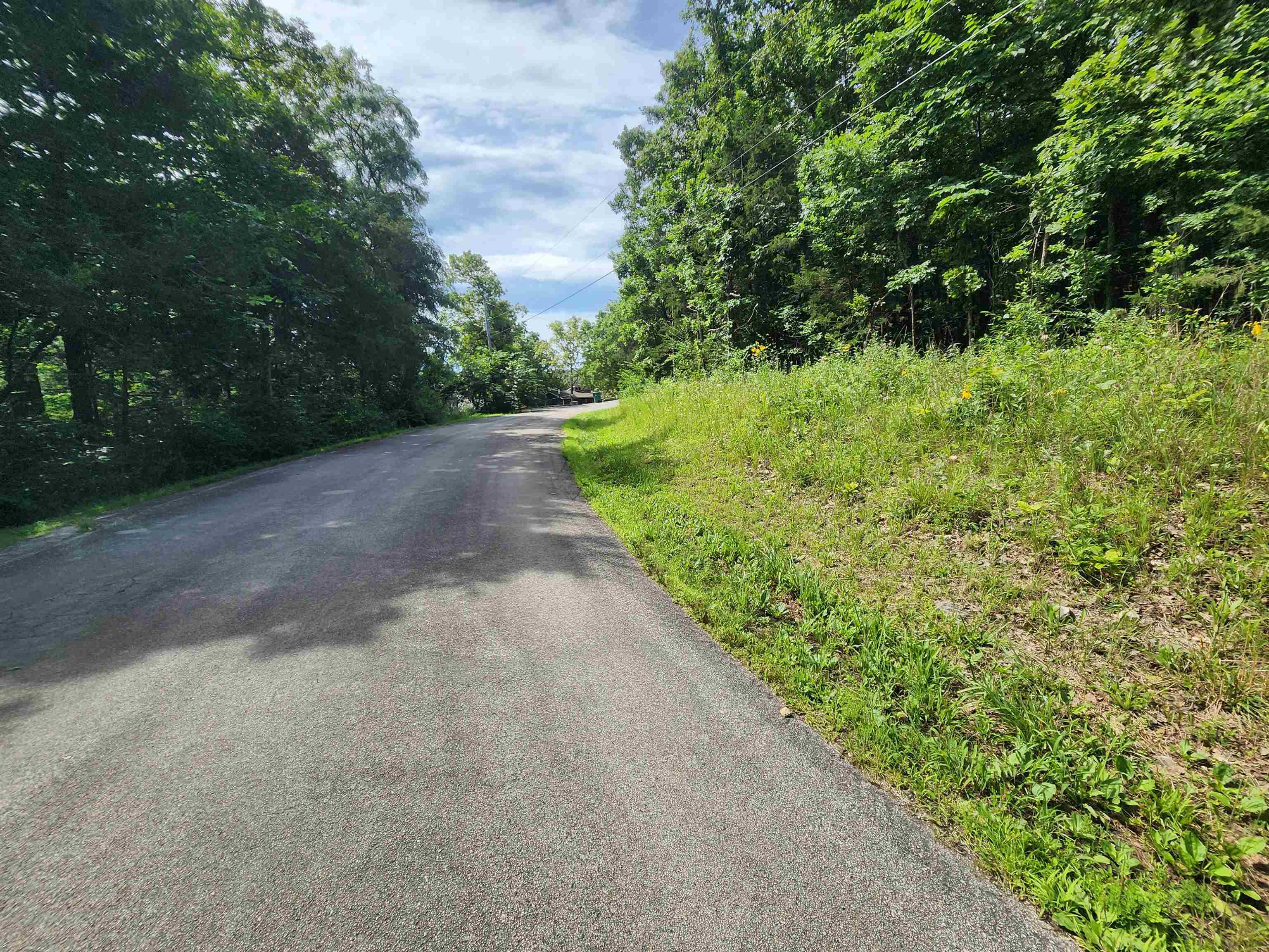 Photo 36 - Vacant Land for sale –   Pinal   Cherokee Village, AR