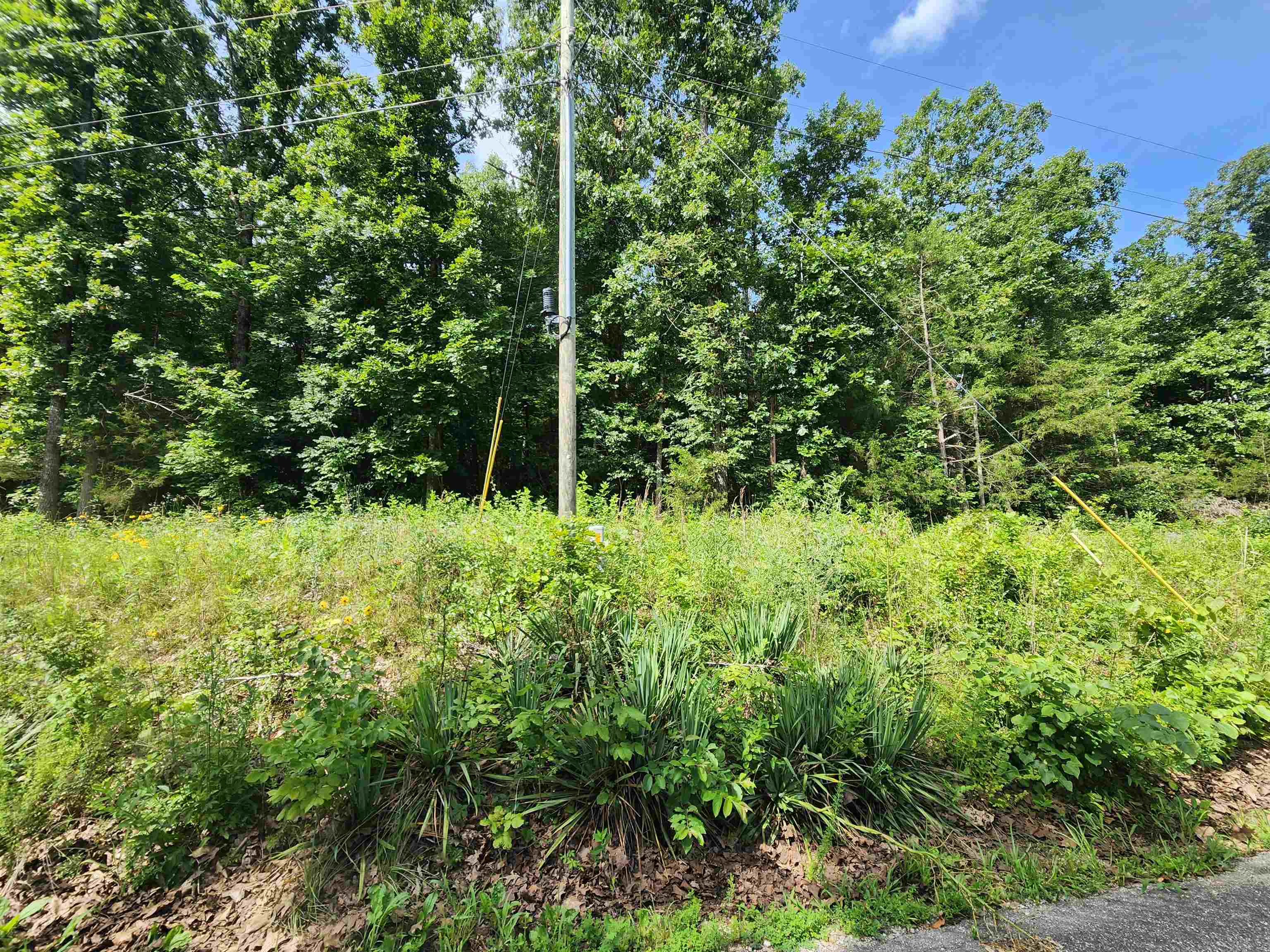 Photo 5 - Vacant Land for sale –   Pinal   Cherokee Village, AR