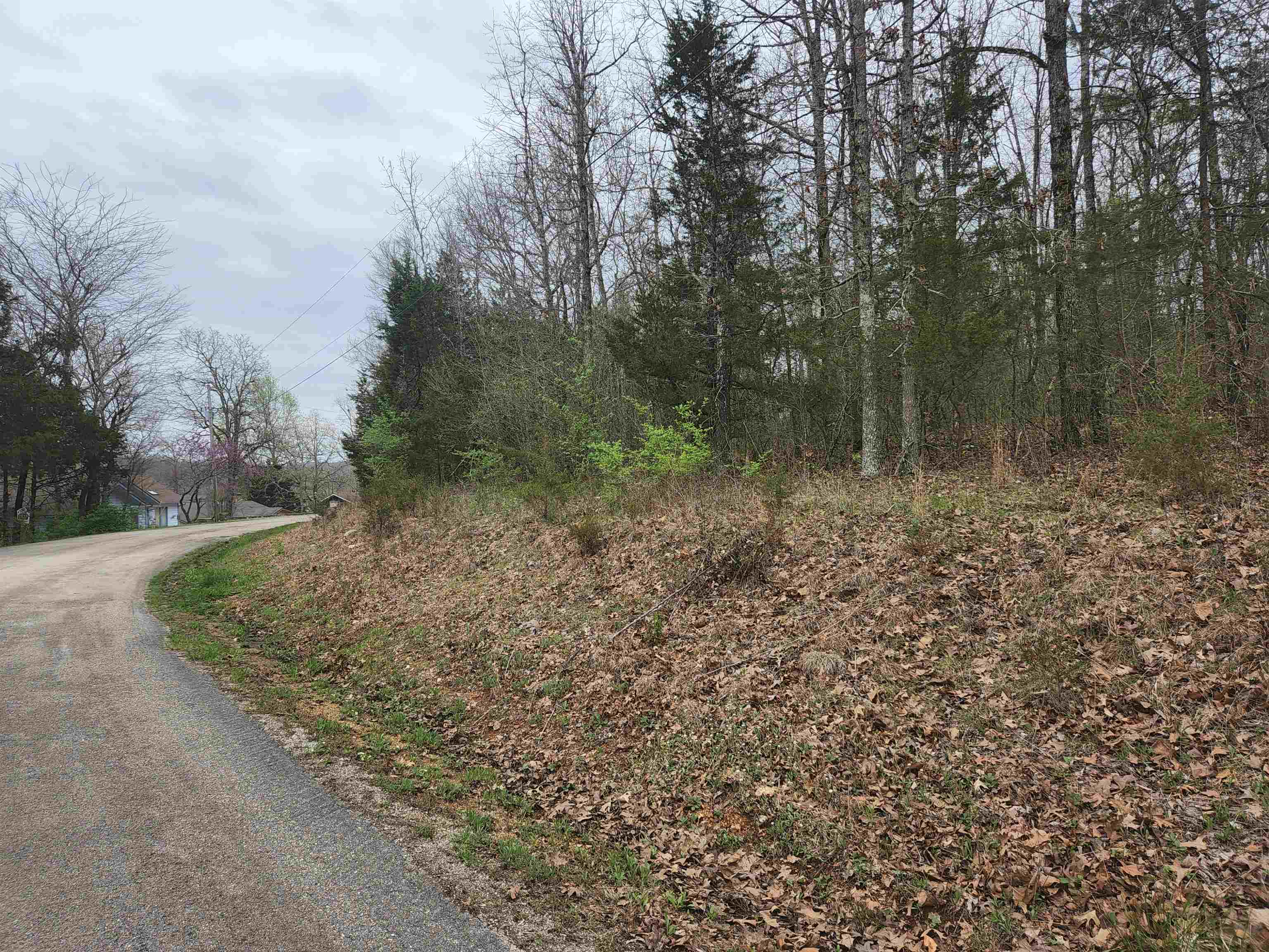 Photo 6 - Vacant Land for sale –   Pinal   Cherokee Village, AR