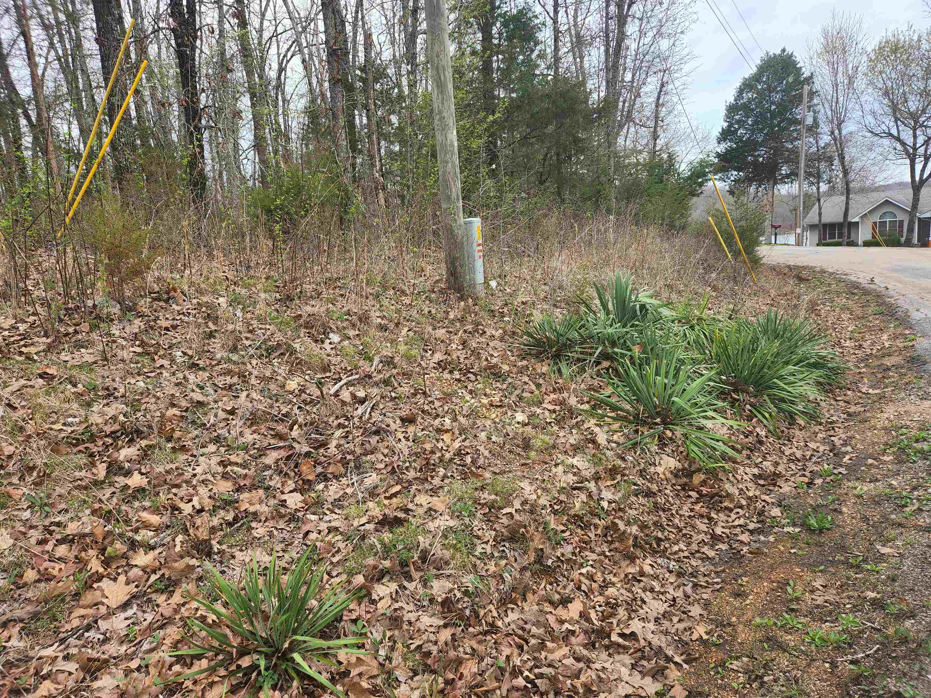 Photo 7 - Vacant Land for sale –   Pinal   Cherokee Village, AR