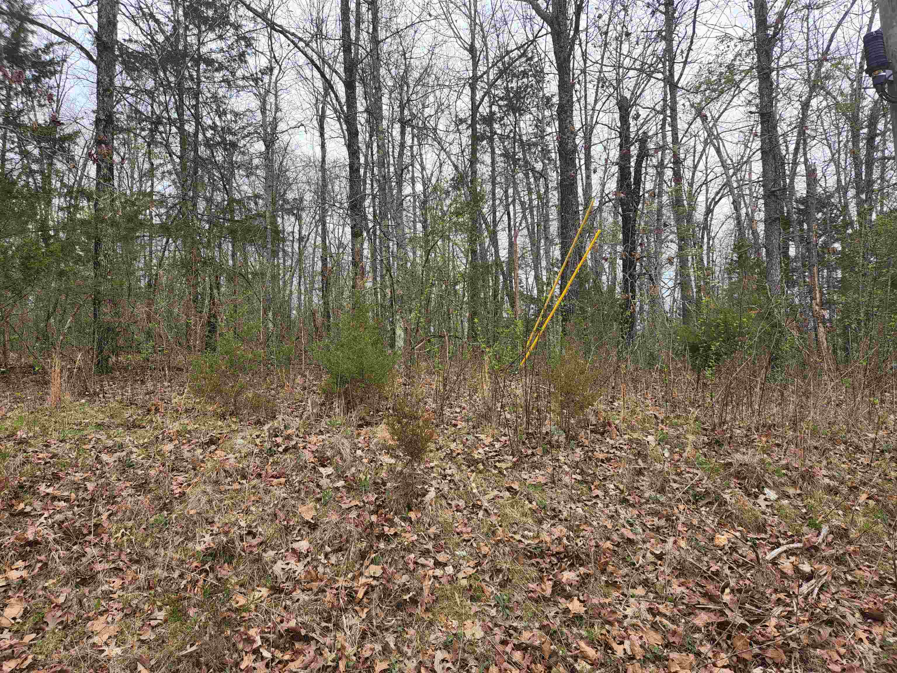 Photo 8 - Vacant Land for sale –   Pinal   Cherokee Village, AR