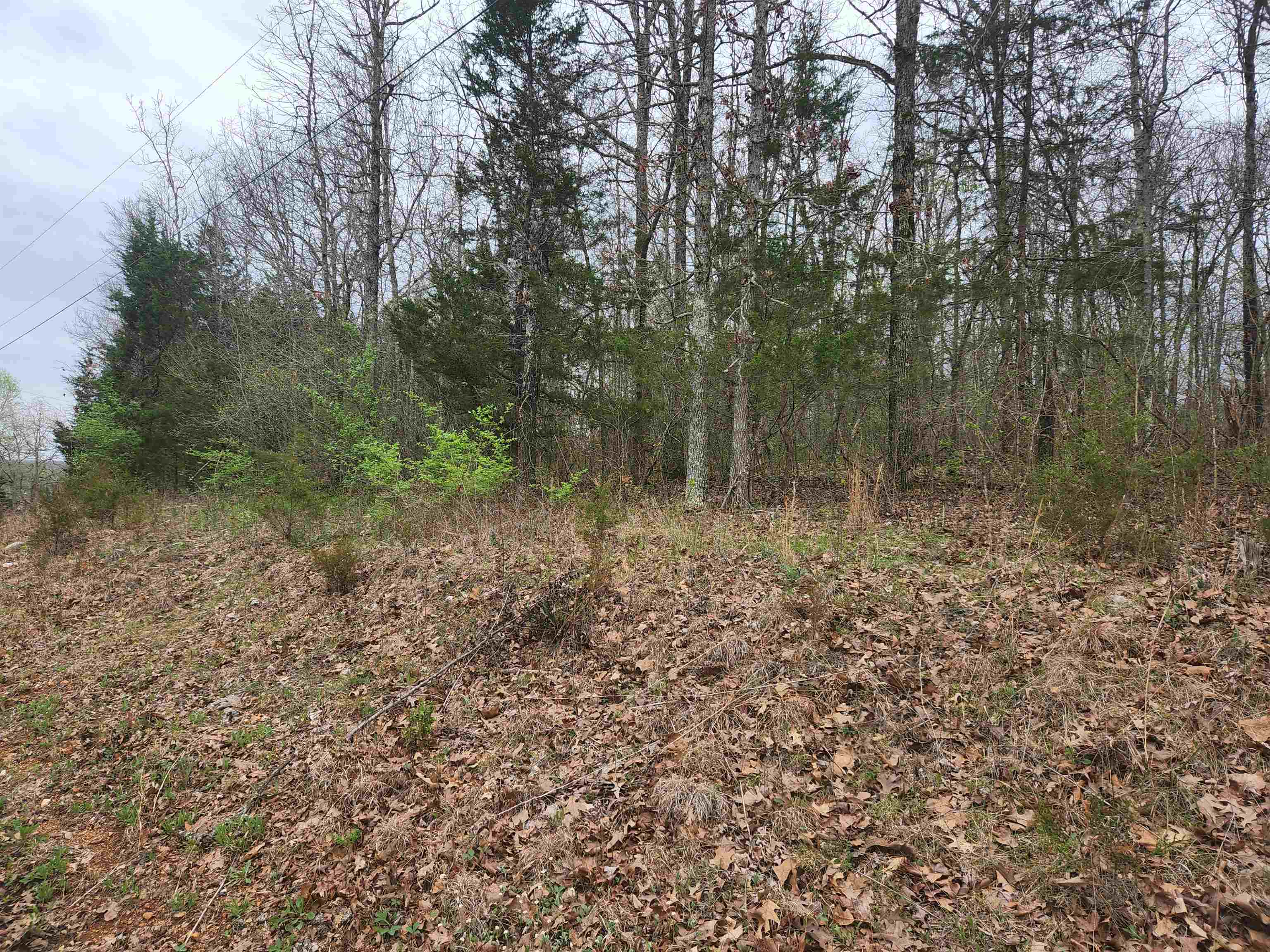 Photo 9 - Vacant Land for sale –   Pinal   Cherokee Village, AR