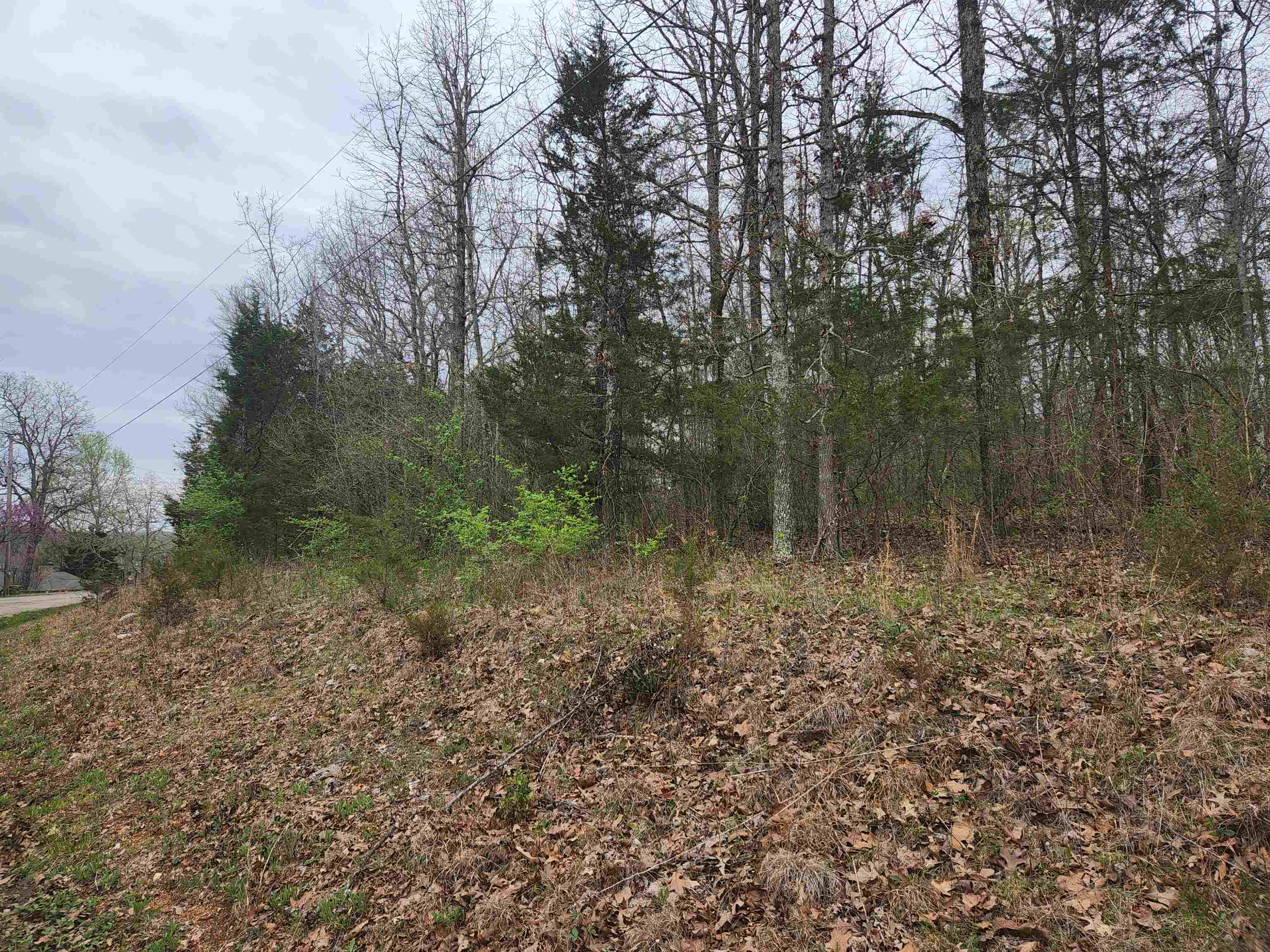Photo 10 - Vacant Land for sale –   Pinal   Cherokee Village, AR