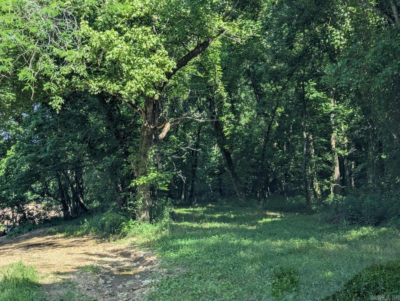 Photo 40 - Residential for sale – 400  Weaver   Charlotte, AR