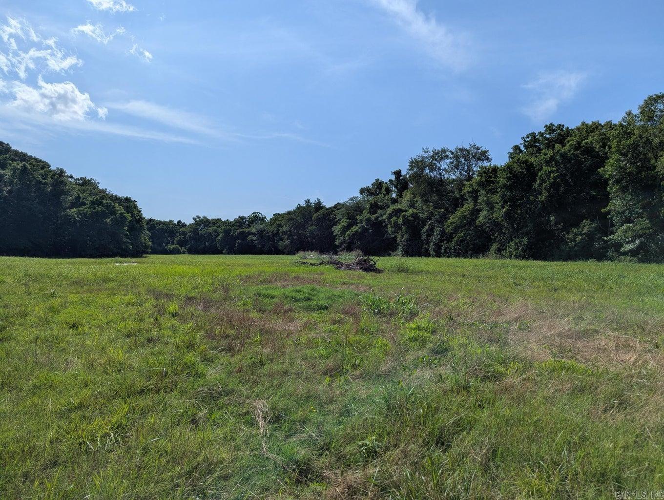 Photo 8 - Residential for sale – 400  Weaver   Charlotte, AR