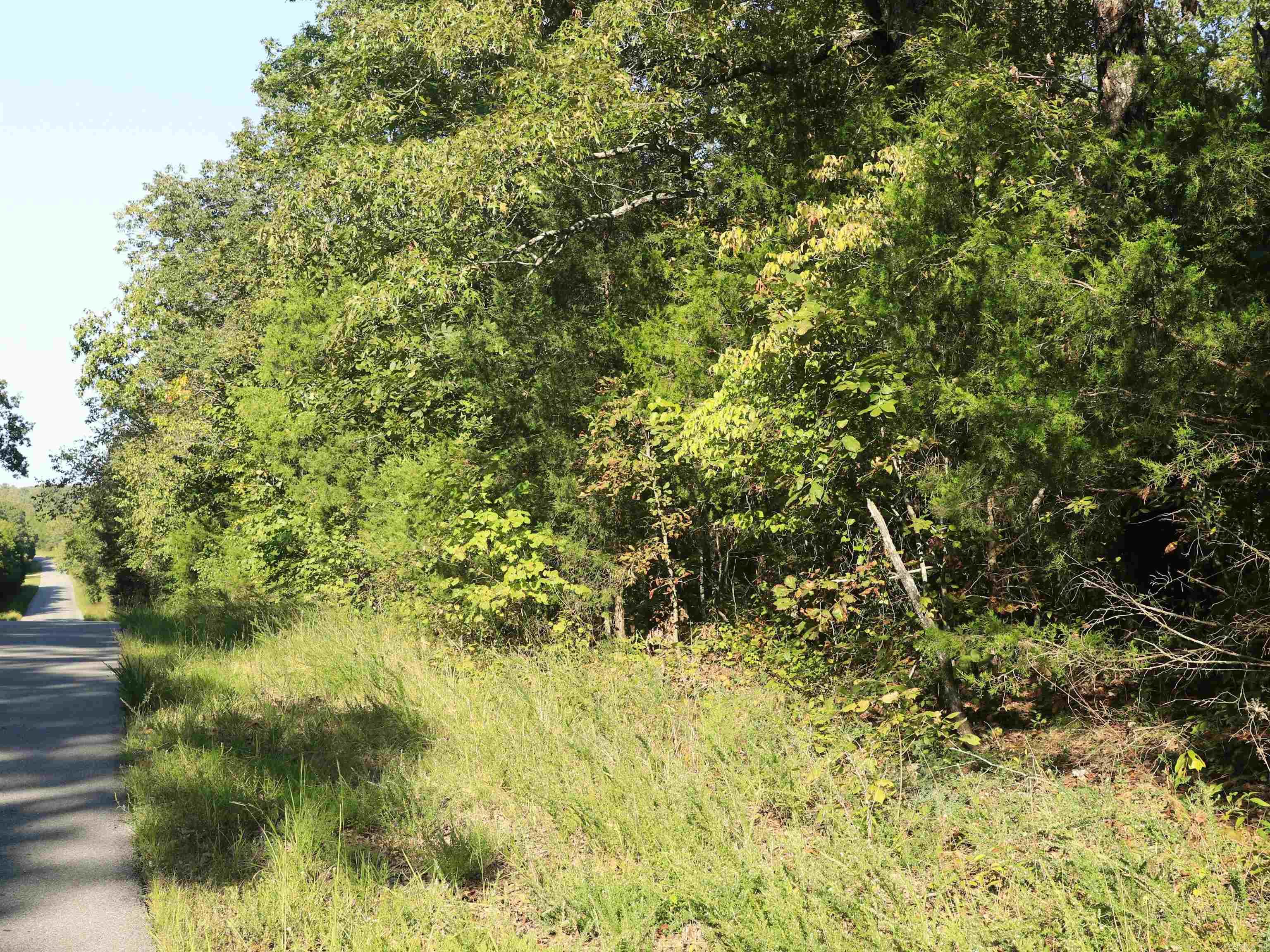 Photo 3 - Vacant Land for sale – 208 N Little Rock   Horseshoe Bend, AR
