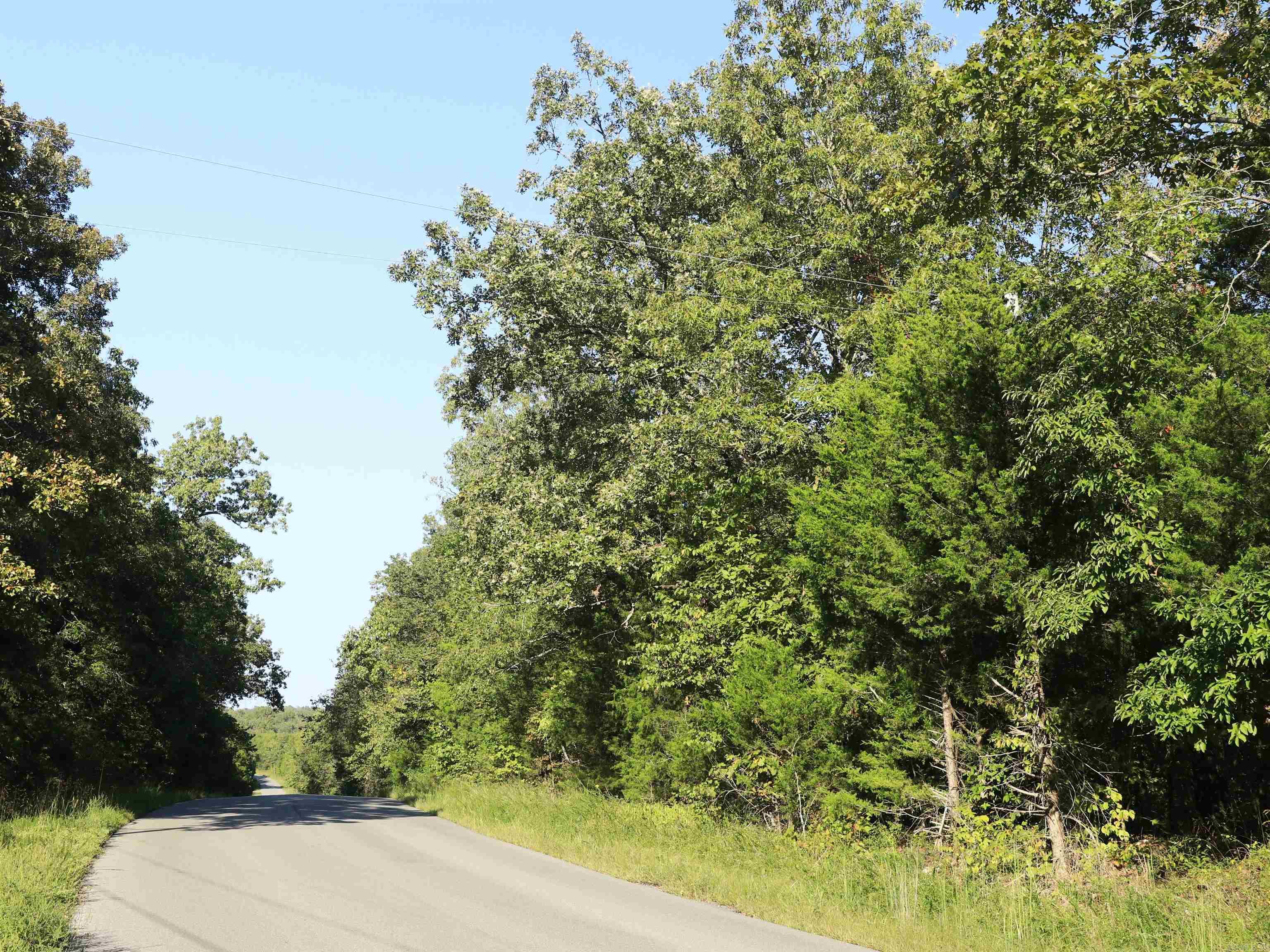 Photo 4 - Vacant Land for sale – 208 N Little Rock   Horseshoe Bend, AR
