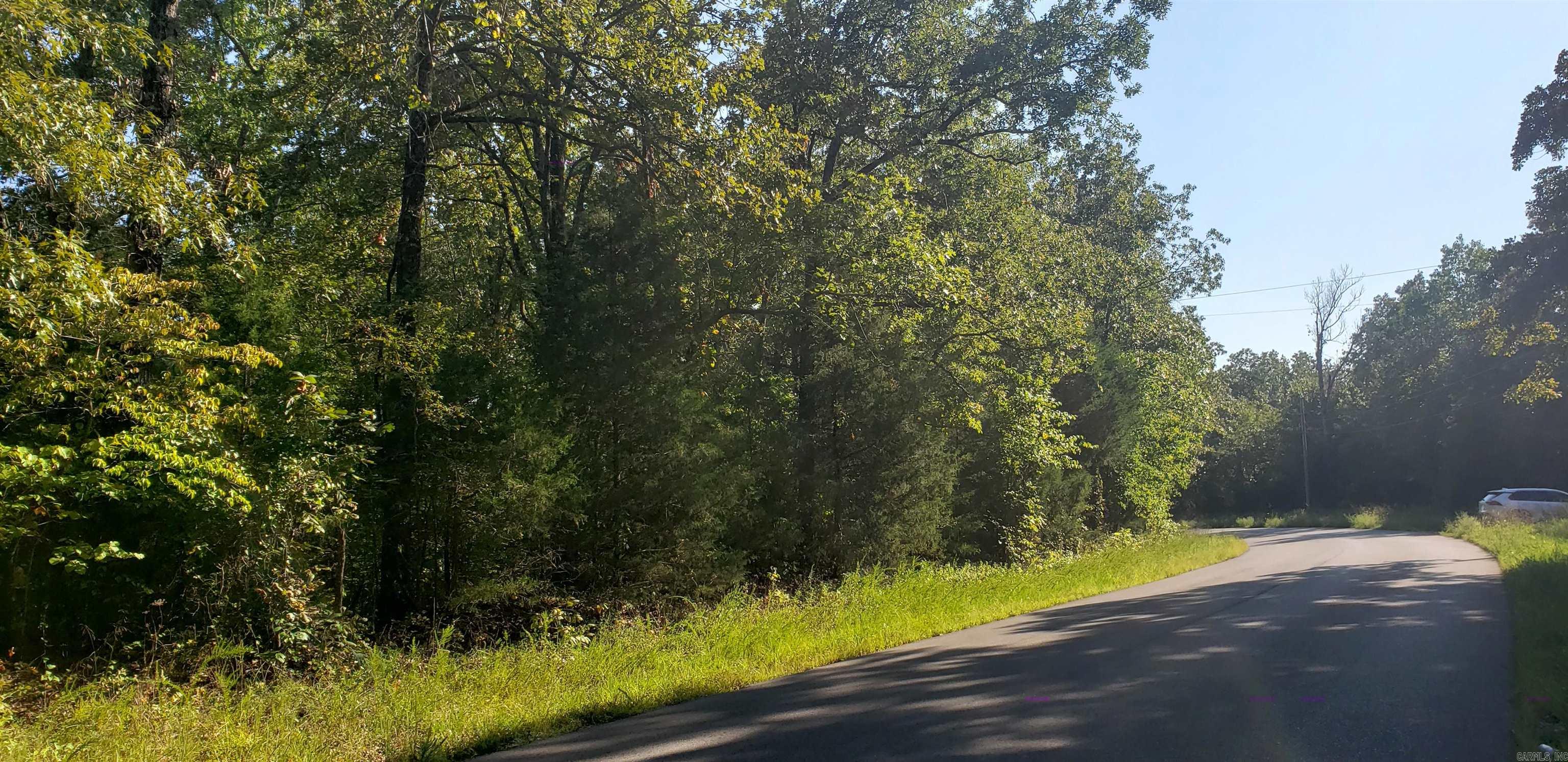 Photo 5 - Vacant Land for sale – 208 N Little Rock   Horseshoe Bend, AR