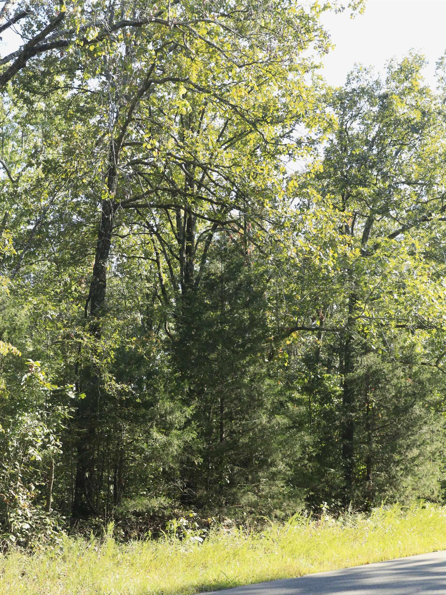 Photo 6 - Vacant Land for sale – 208 N Little Rock   Horseshoe Bend, AR