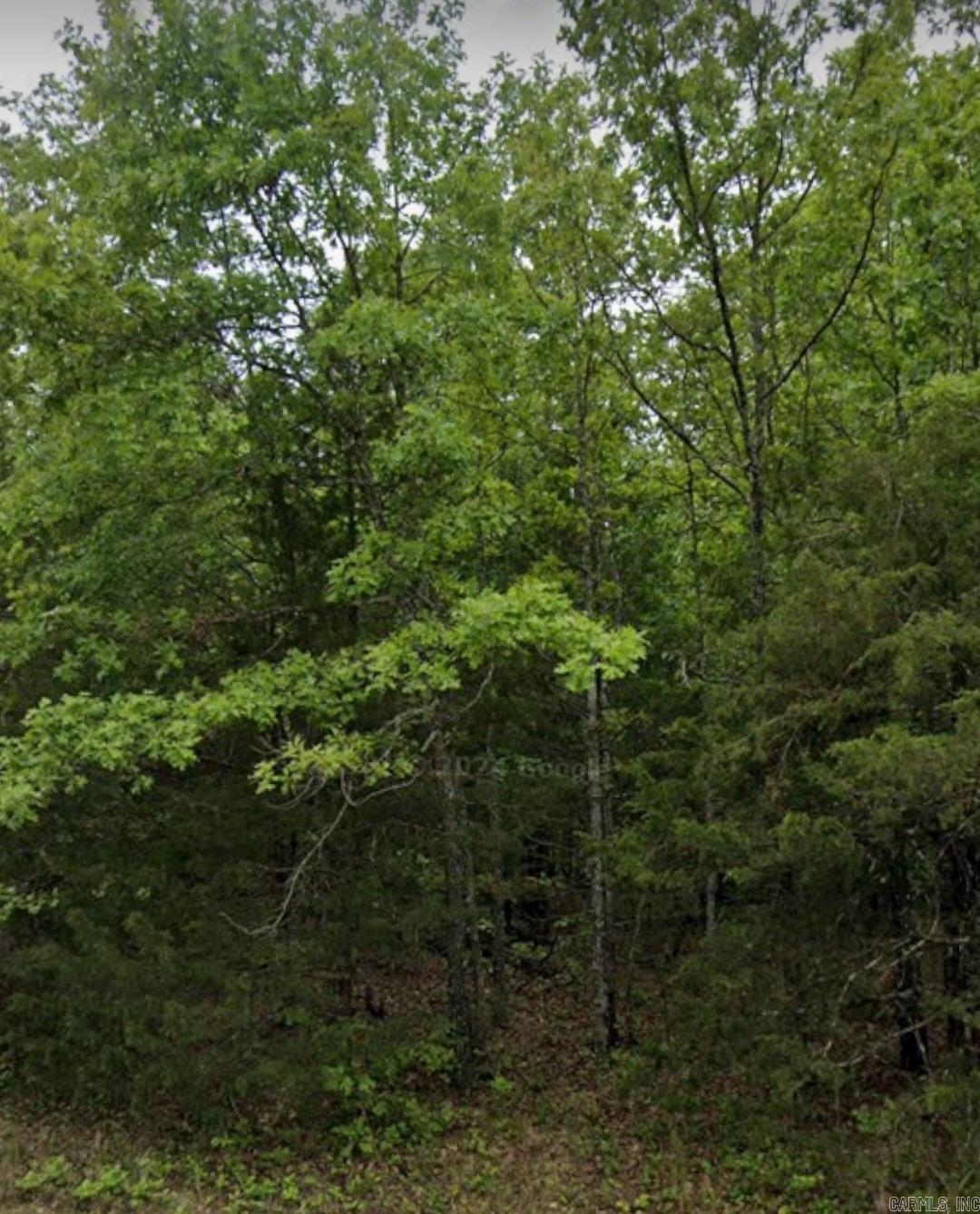 Photo 3 - Vacant Land for sale – 203  Day   Horseshoe Bend, AR