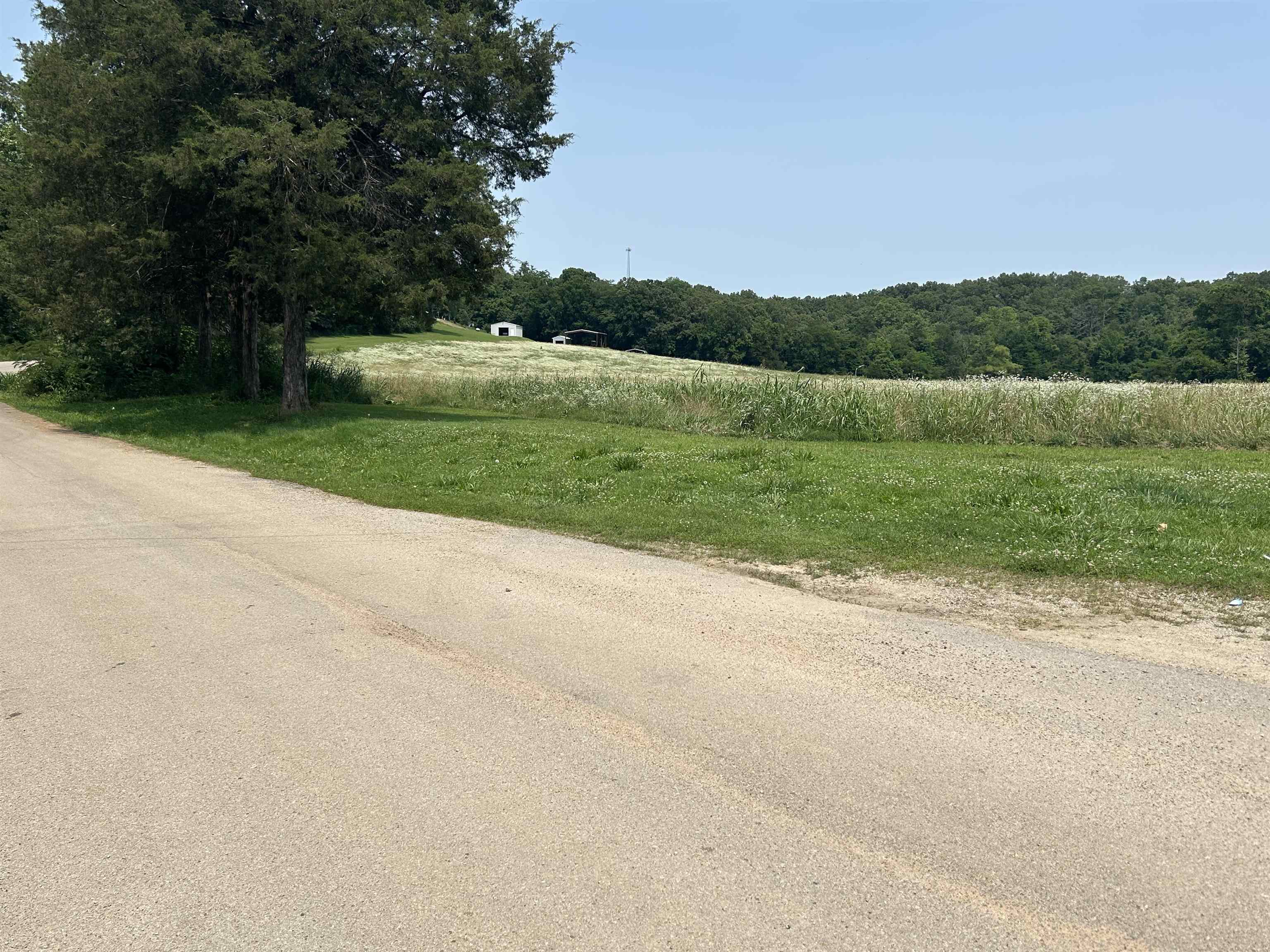 Photo 12 - Vacant Land for sale – 000  Gin Hill Road   Ash Flat, AR